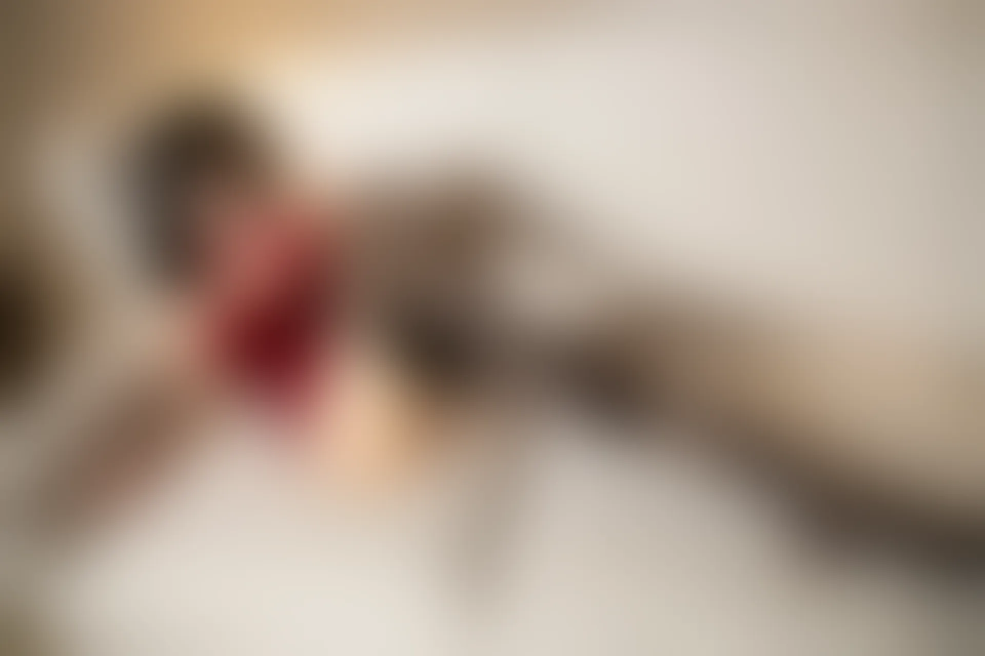 XiuRen秀人网 2019.08.28 No.1650 杨晨晨sugar [99+1P]