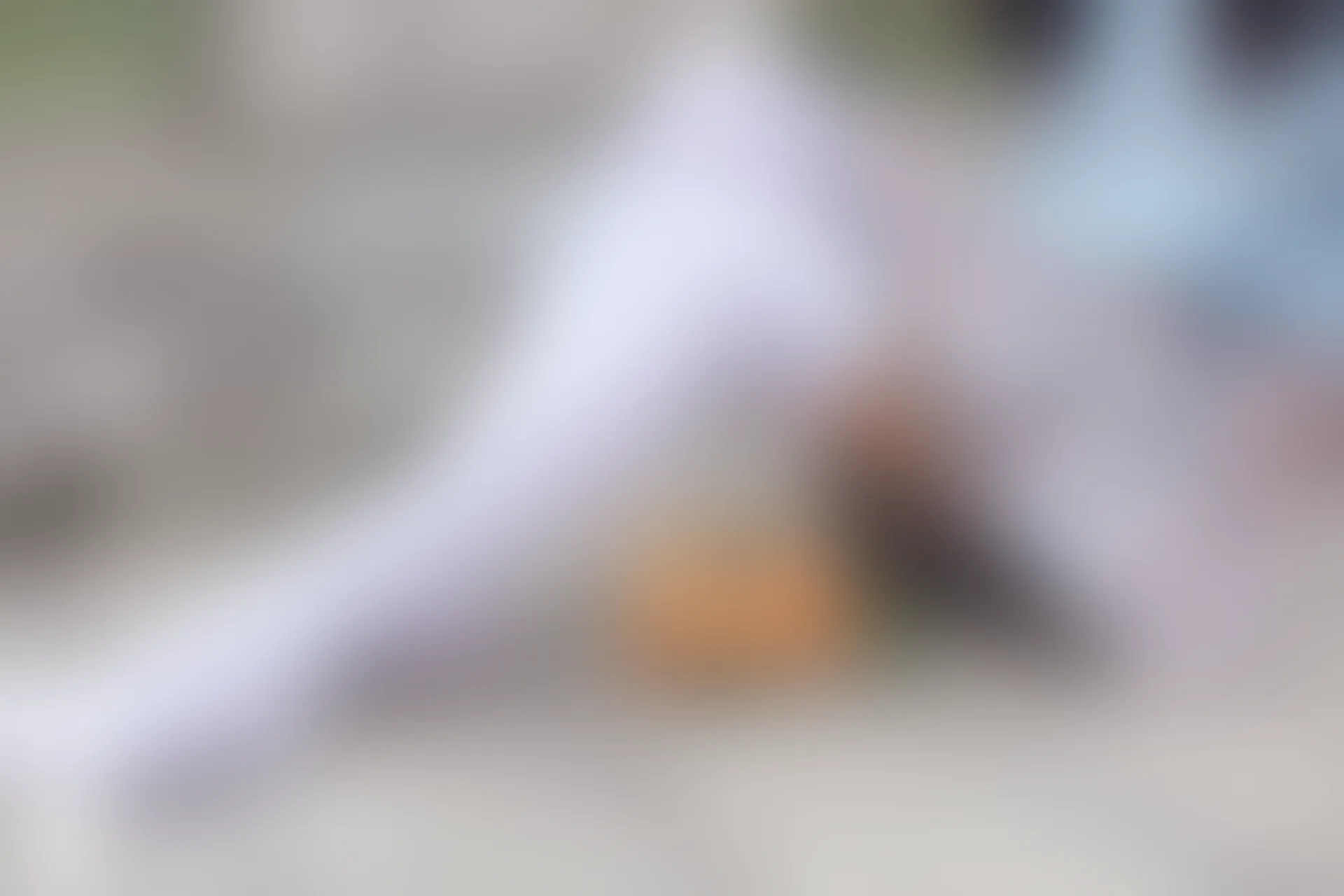 D52.006 枇杷和白丝 [44P-237MB]