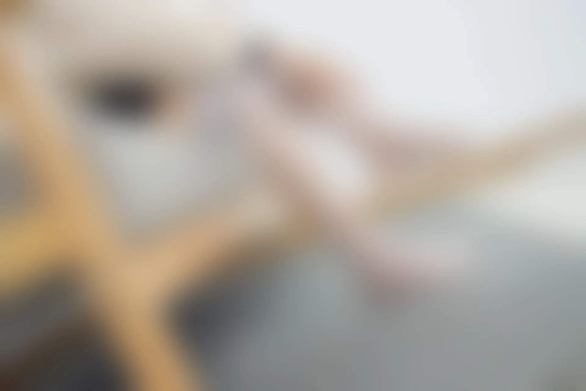 森萝财团 有料-20 [86P-1.13G]JK, JK制服, 可爱, 学生装, 有料, 校服, 森萝财团, 白丝, 美腿, 美足