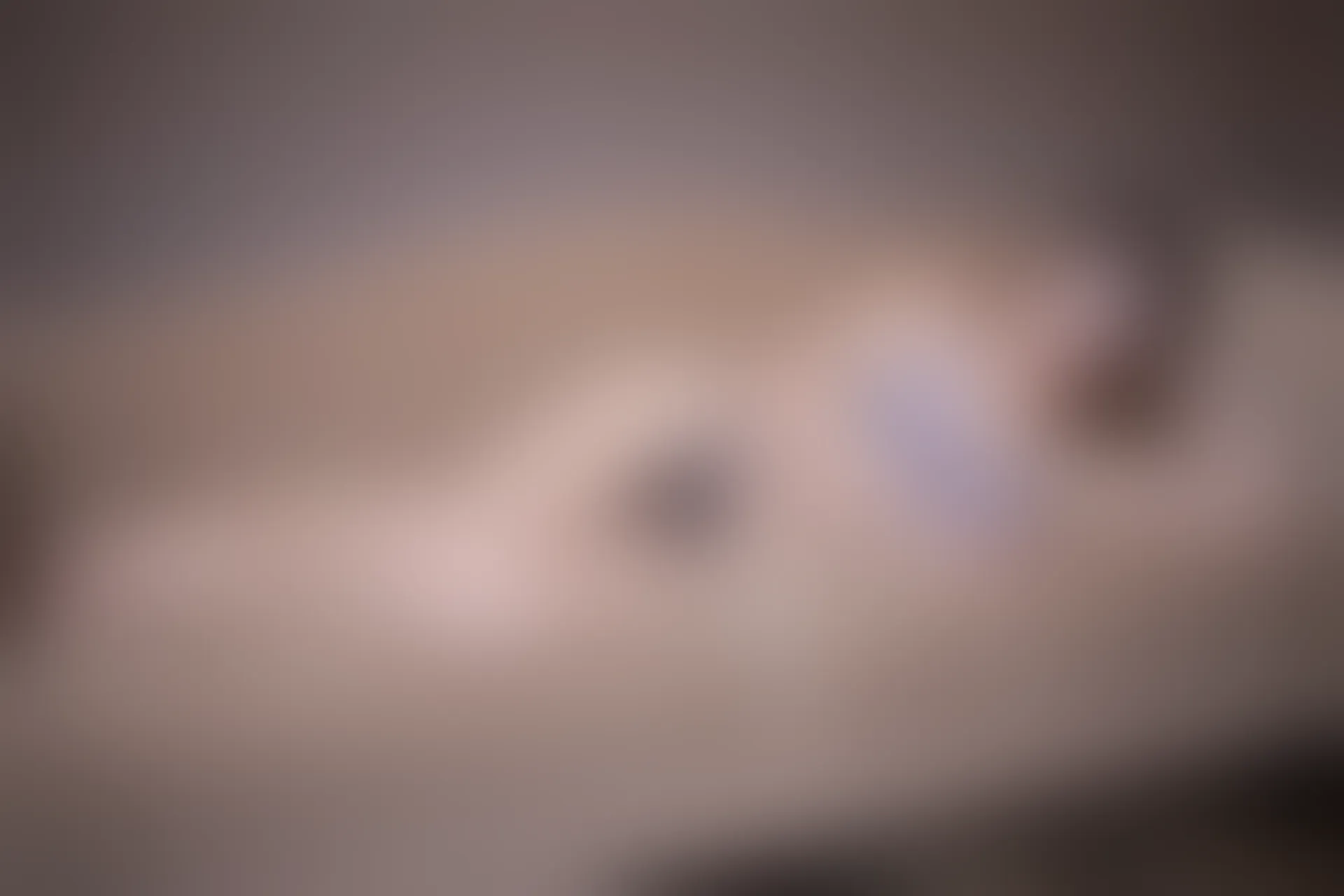 XiuRen秀人网 2015.12.19 No.443 FoxYini孟狐狸