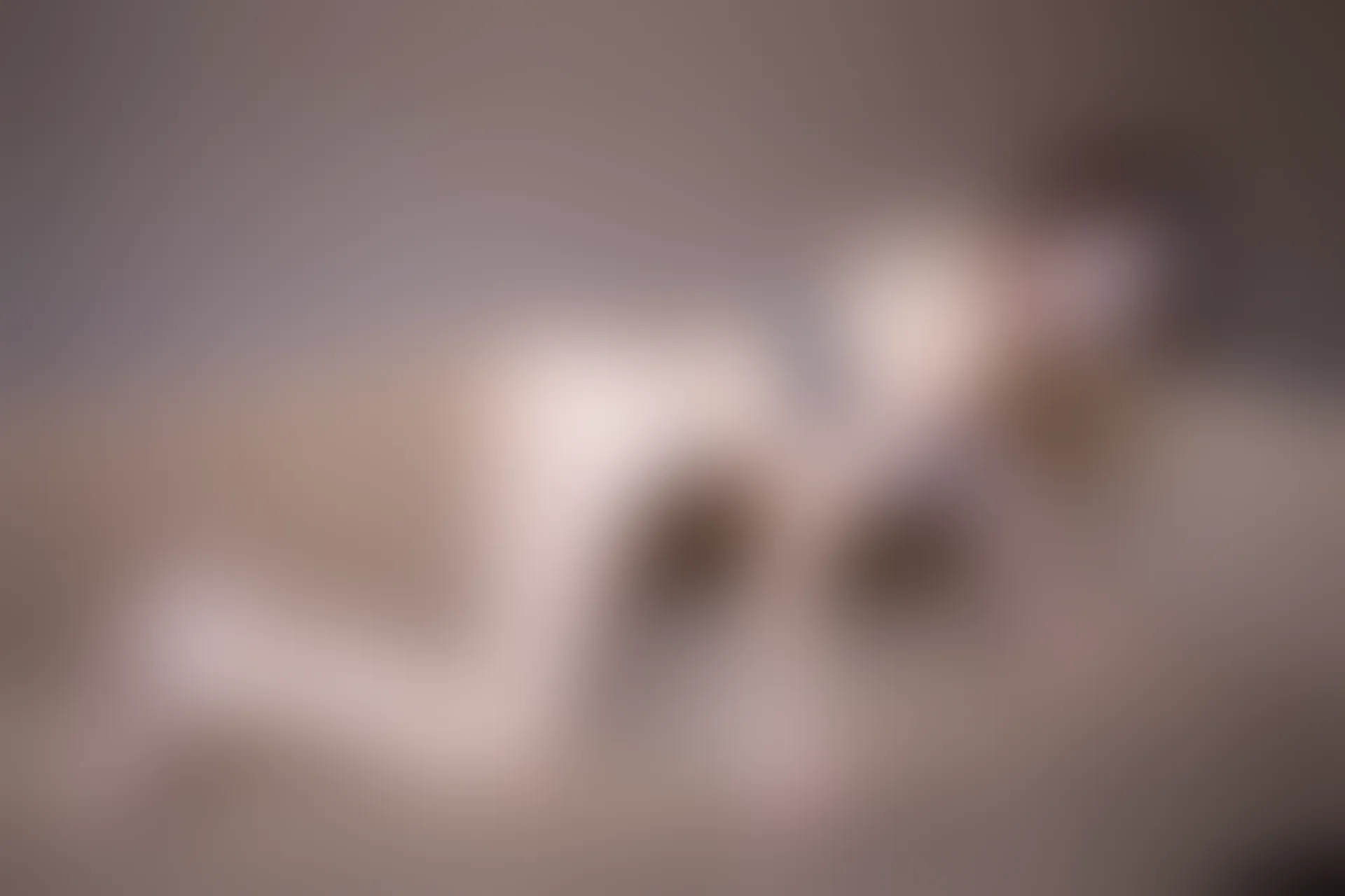 XiuRen秀人网 2015.12.19 No.443 FoxYini孟狐狸