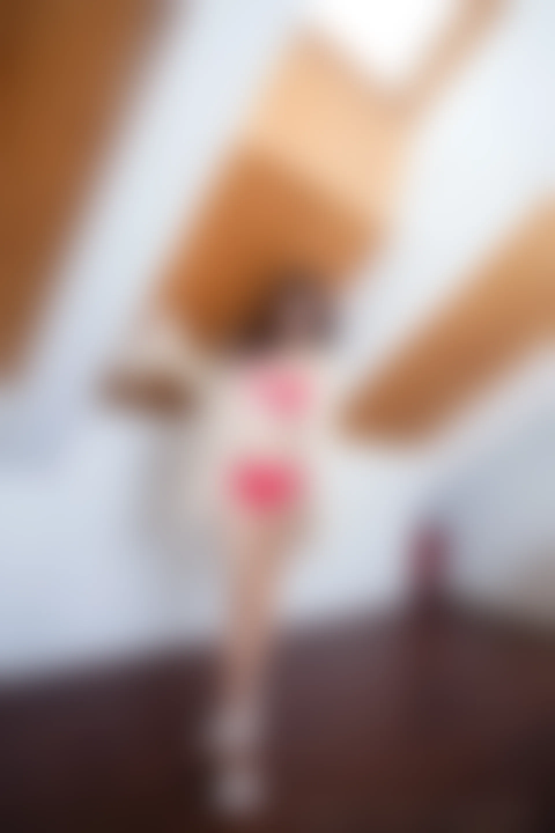 XiuRen秀人网 2013.12.25 No.072 MuMu