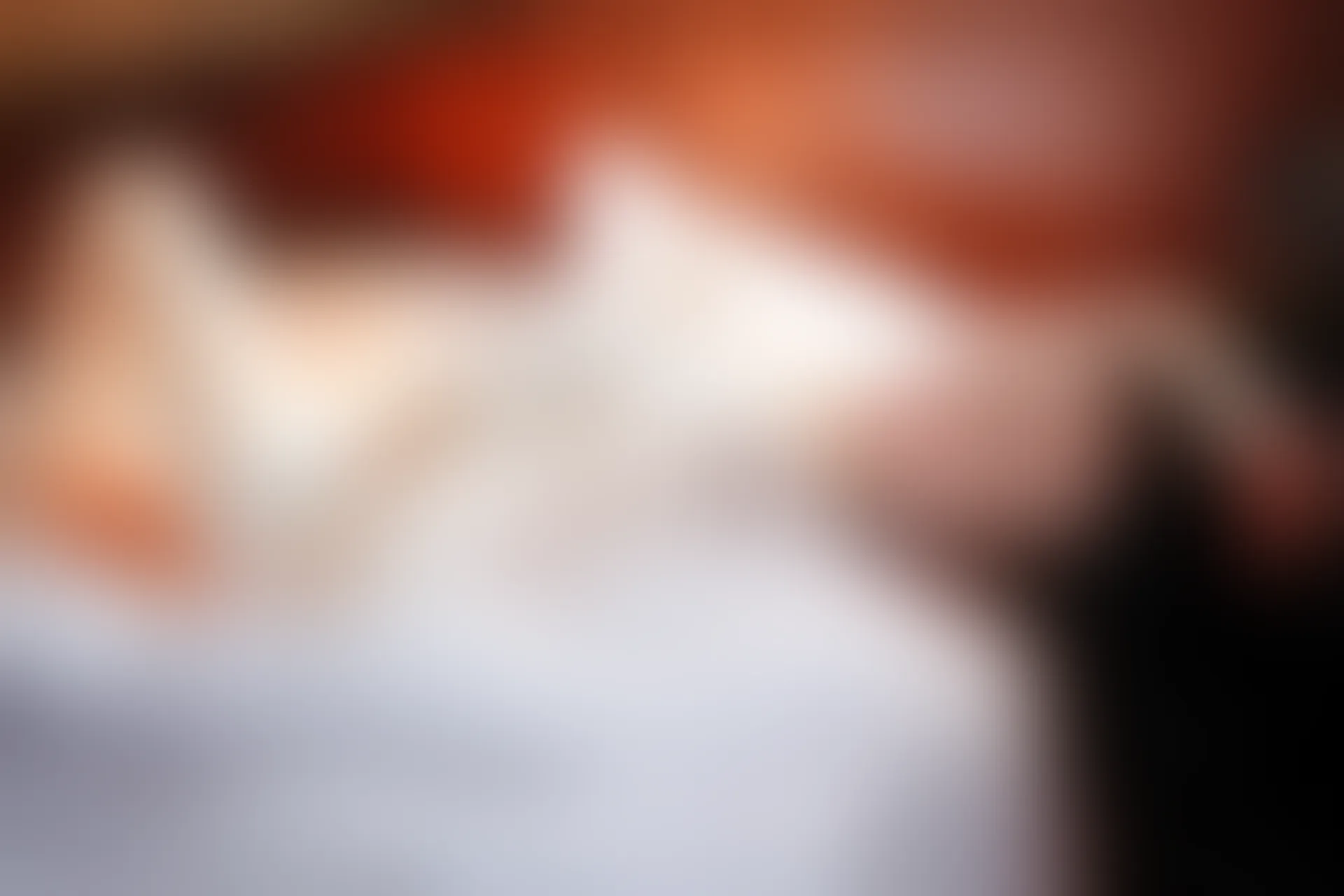 XiuRen秀人网 2014.10.16 No.225 高溜MilkCat [89+1P616M]