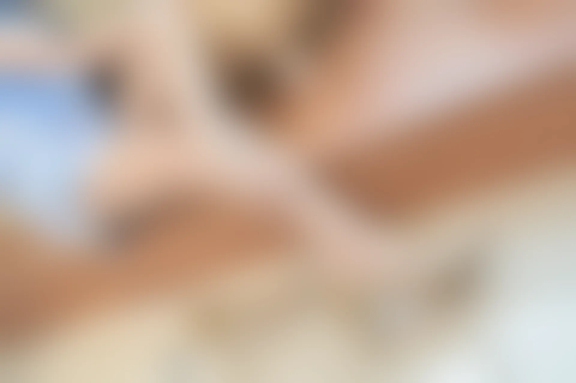 SSA丝社 超清写真 NO.183 聪聪 茶艺室变幻莫测灰丝雅韵[127P-1.94GB]