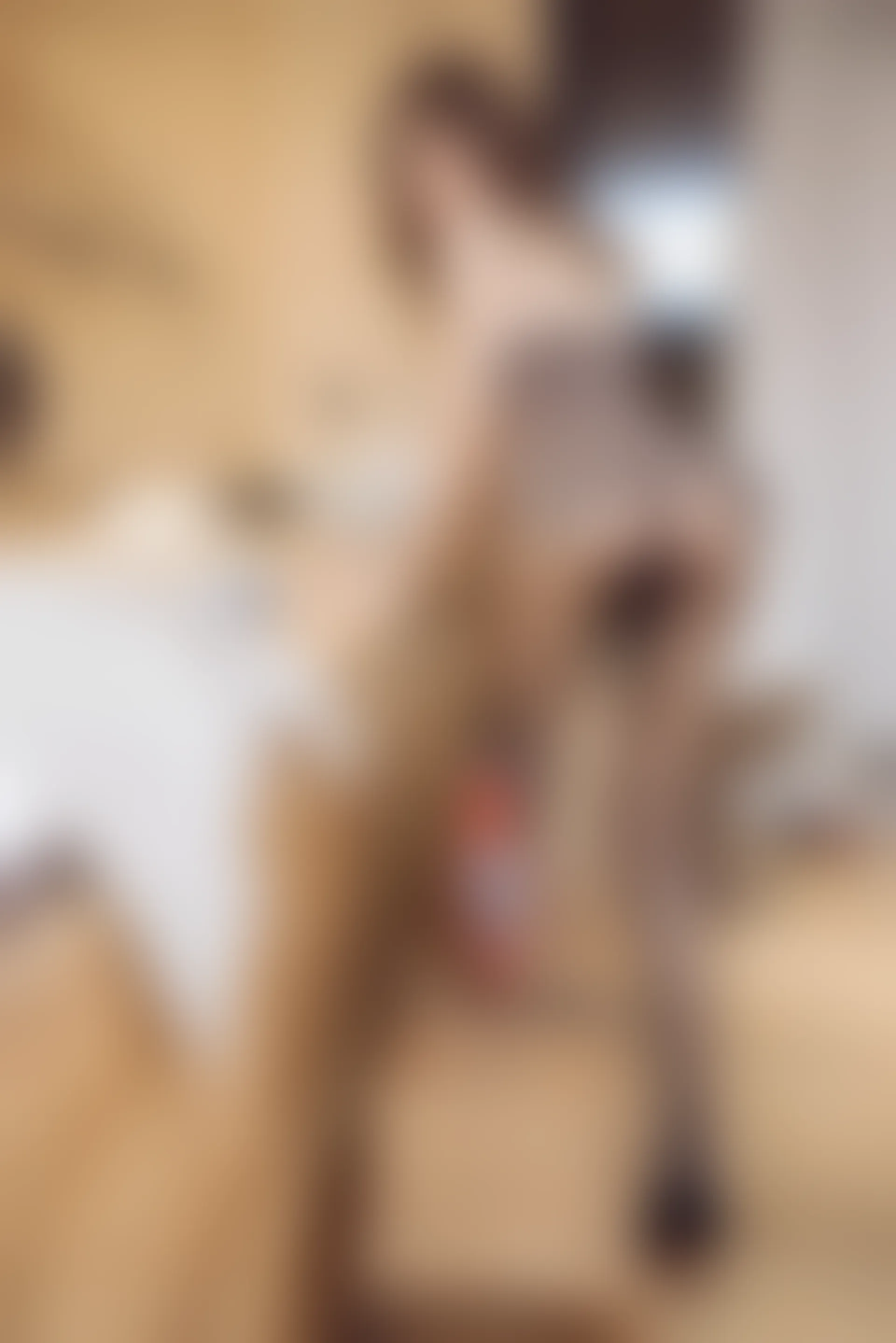 XIUREN秀人网 2021.10.12 NO.4052 绮里嘉ula[60+1P／559MB]