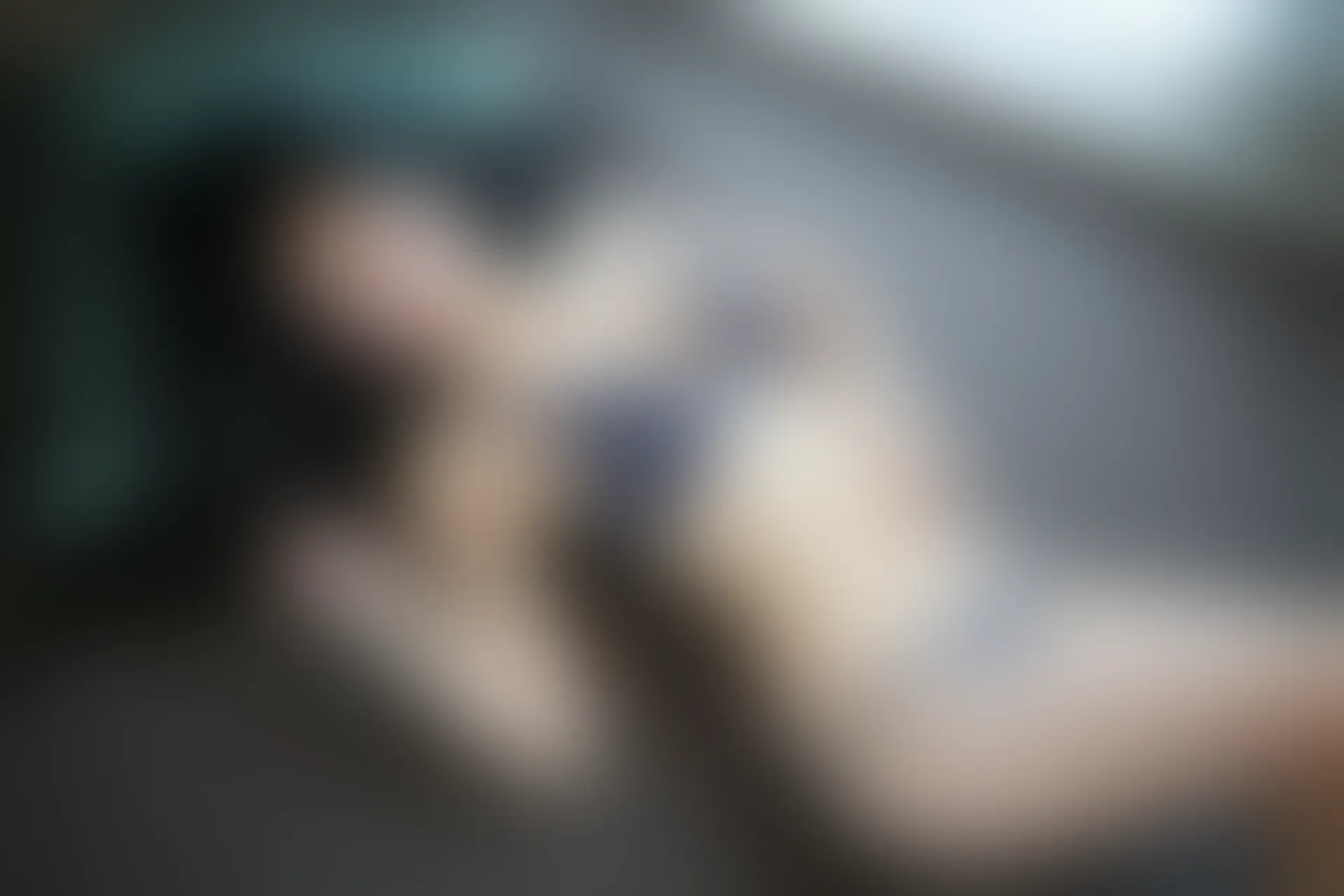 XiuRen秀人网 2014.06.12 No.156 模特合集[66+1P171MB]