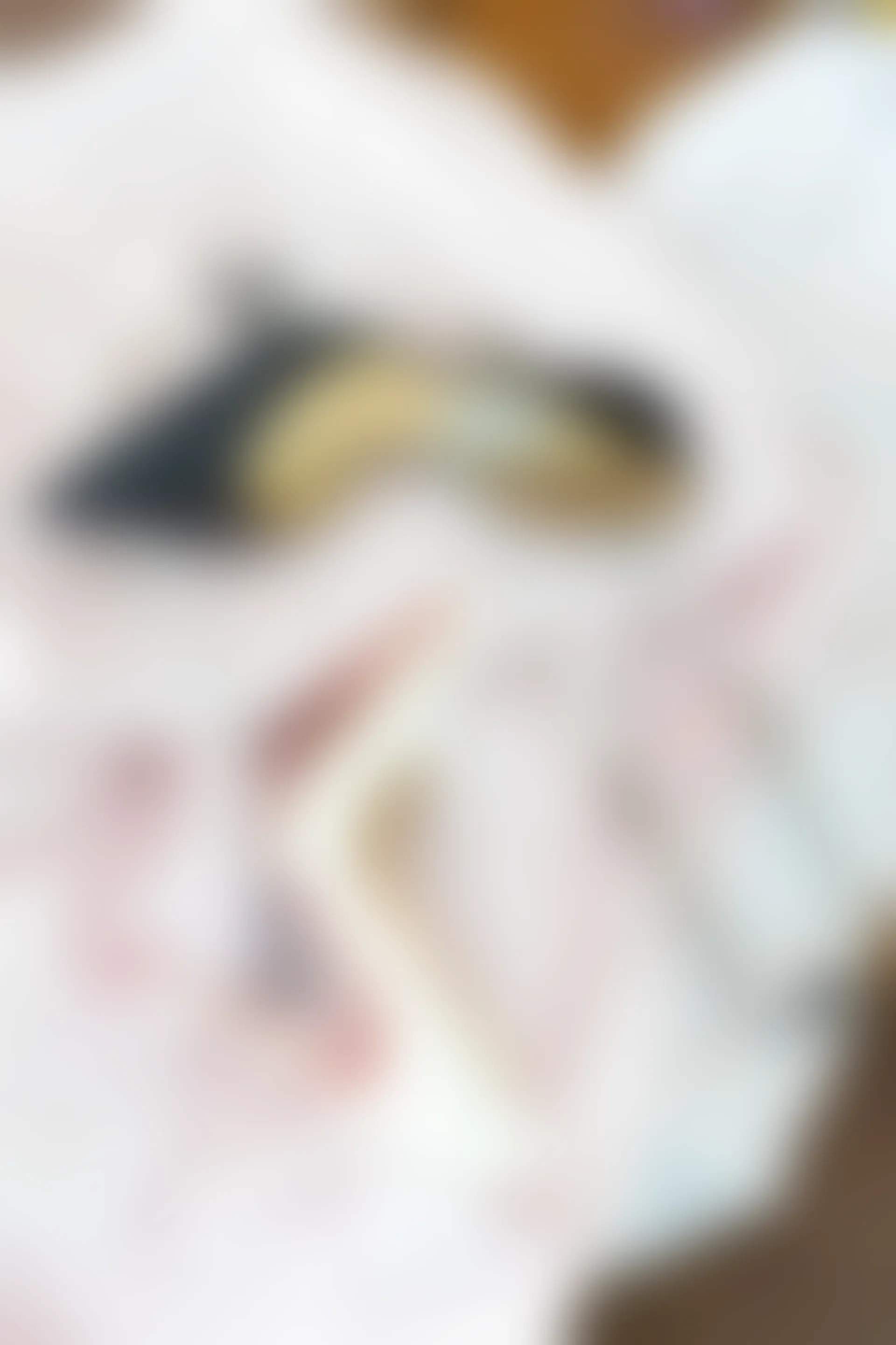 XiuRen秀人网 2021.11.12 No.4209 模特合集 护士制服[91+1P 827MB]