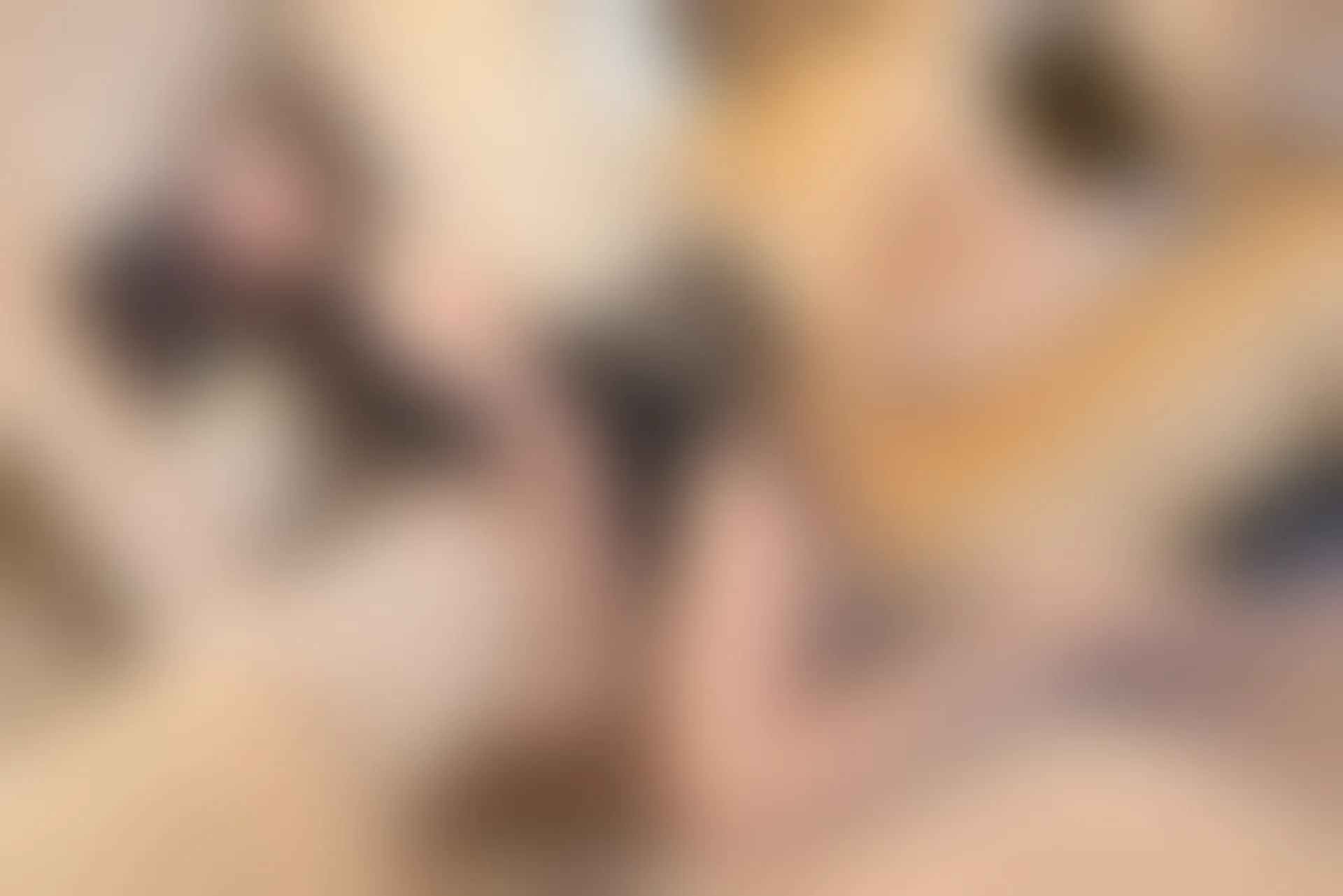 XiuRen秀人网 2021.10.25 No.4109 艾静香[63+1P／655MB]
