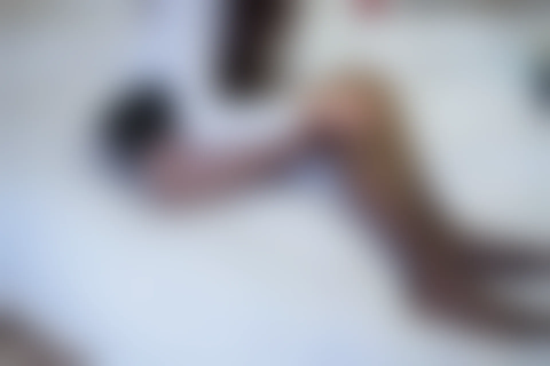 C15.004 黑丝与白袜 [40P-187MB]
