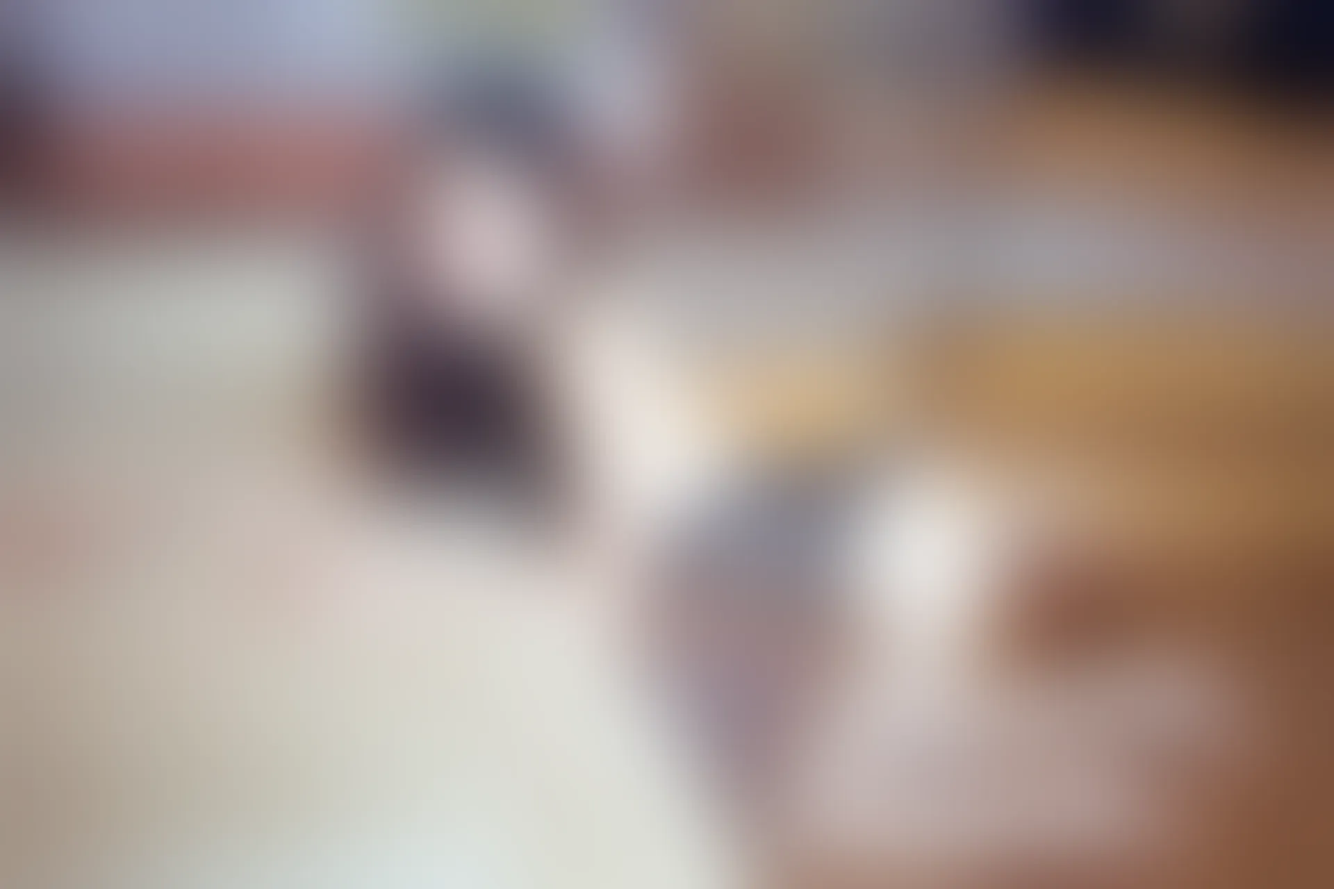 XiuRen秀人网 2014.04.03 No.121 Kitty星辰 [60P252MB]