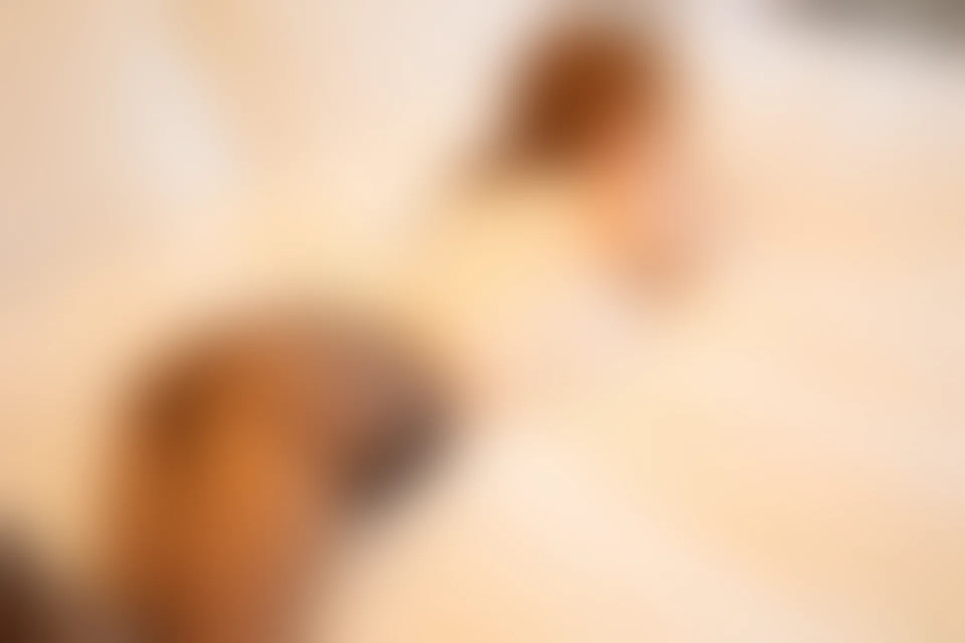 XiuRen秀人网 2021.10.25 No.4106 豆瓣酱[63+1P／599MB]