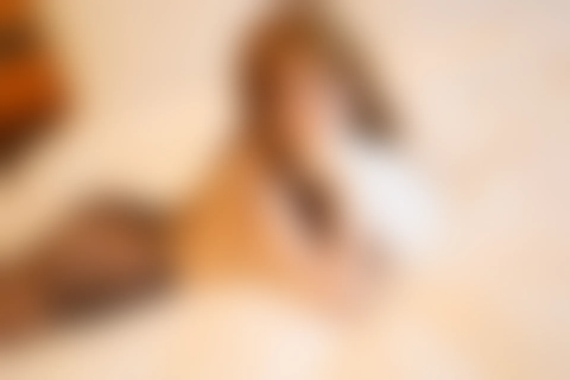 XiuRen秀人网 2021.10.25 No.4106 豆瓣酱[63+1P／599MB]