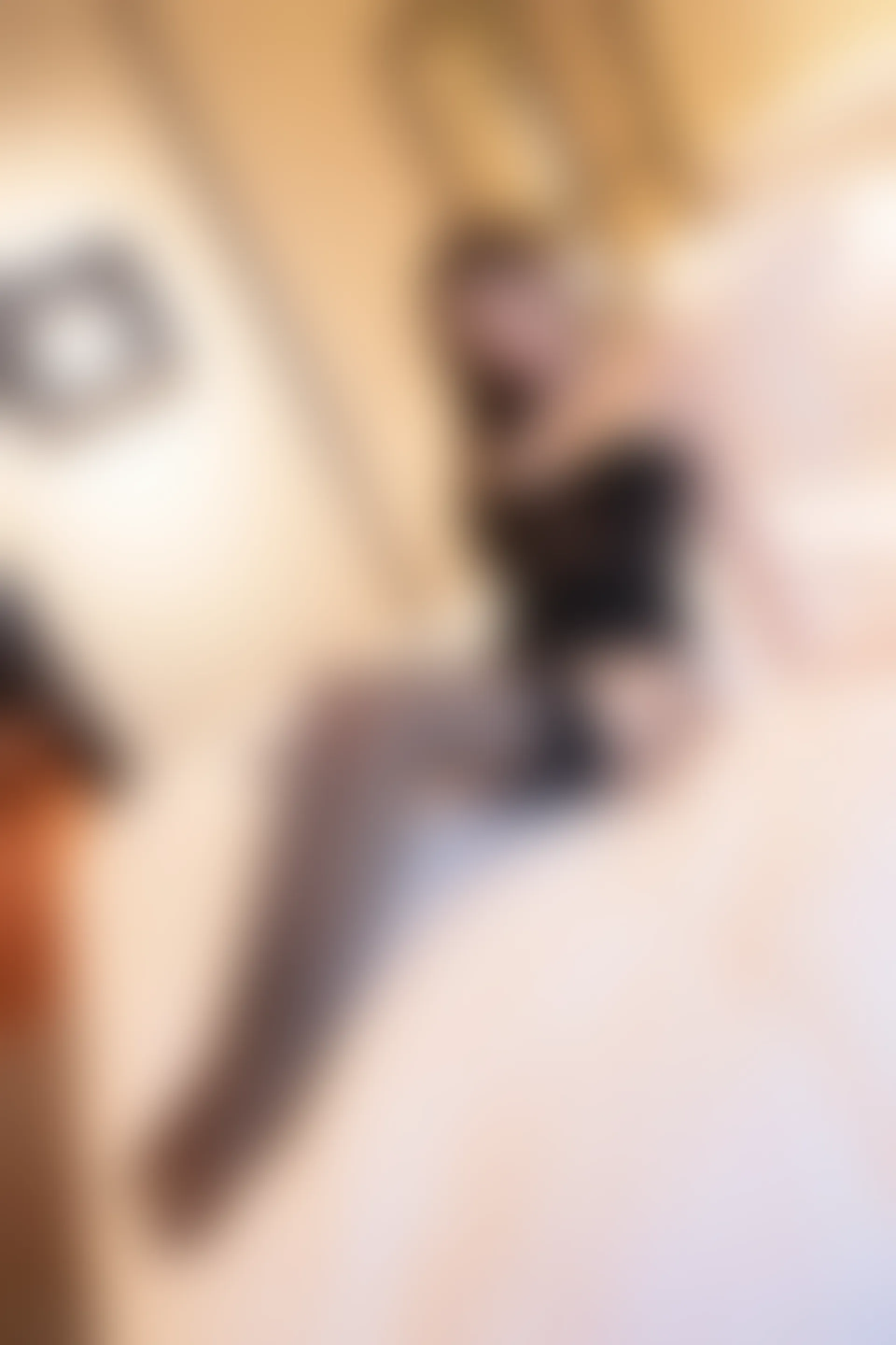 XiuRen秀人网 2022.02.21 No.4615 杨晨晨Yome 美腿黑丝[78+1P 715MB]