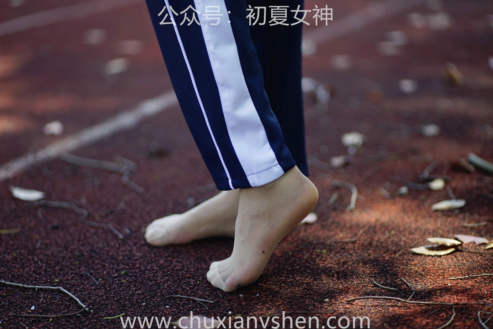 初夏女神 NO.074 点点 旧梦青春[172P+1V／6.61GB]