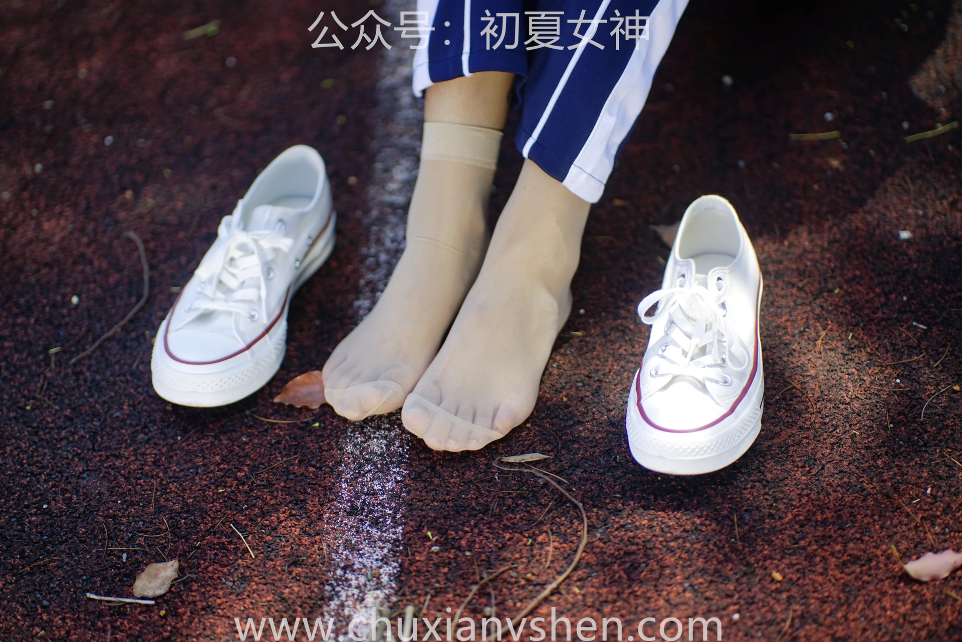 初夏女神 NO.074 点点 旧梦青春[172P+1V／6.61GB]