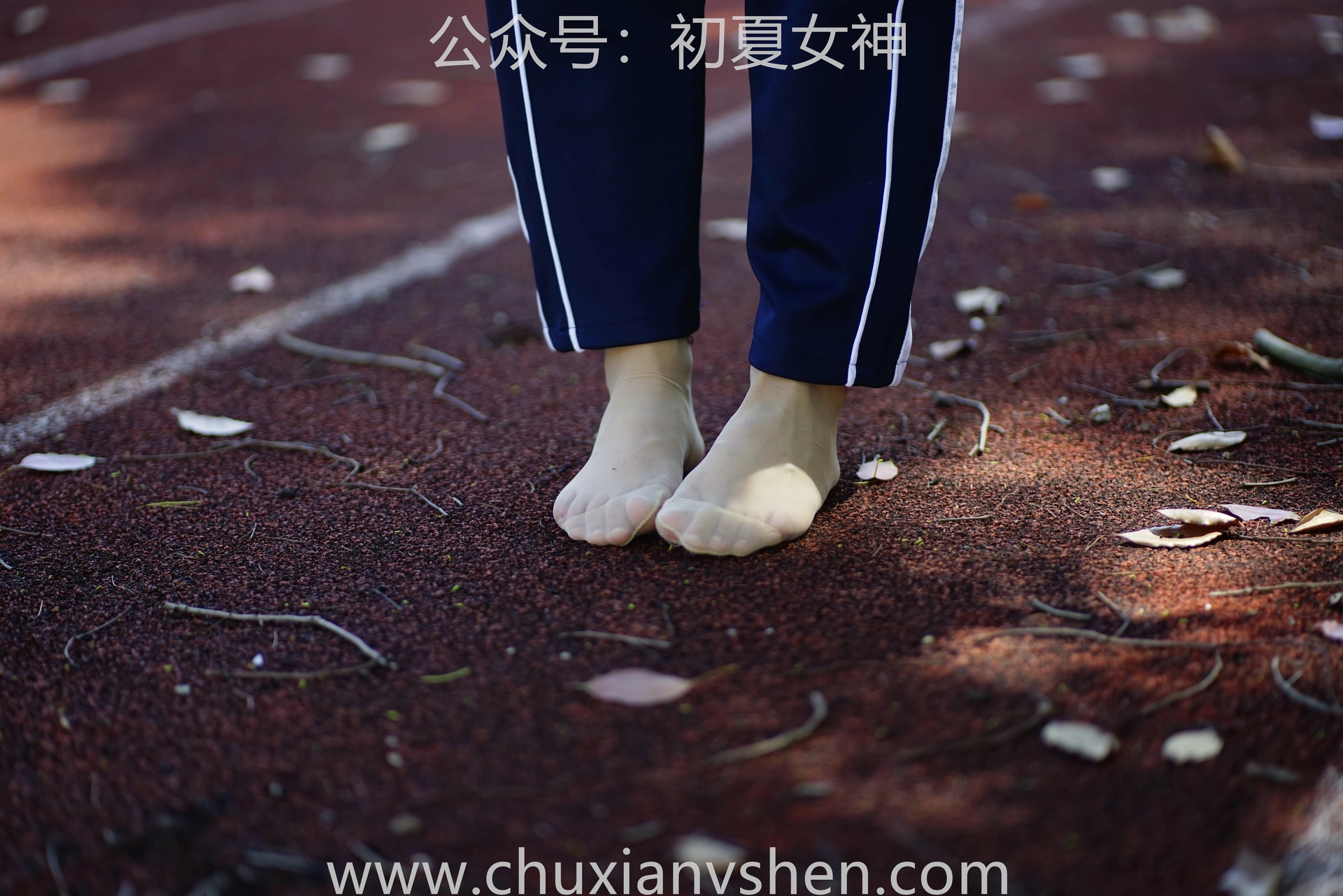 初夏女神 NO.074 点点 旧梦青春[172P+1V／6.61GB]