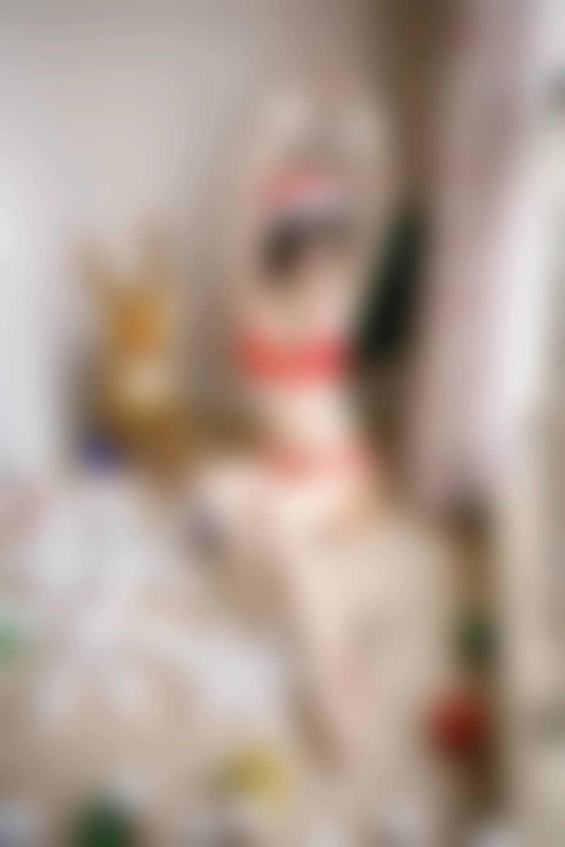 XiuRen秀人网 2014.12.24 No.259 孔一红 [88P303M]