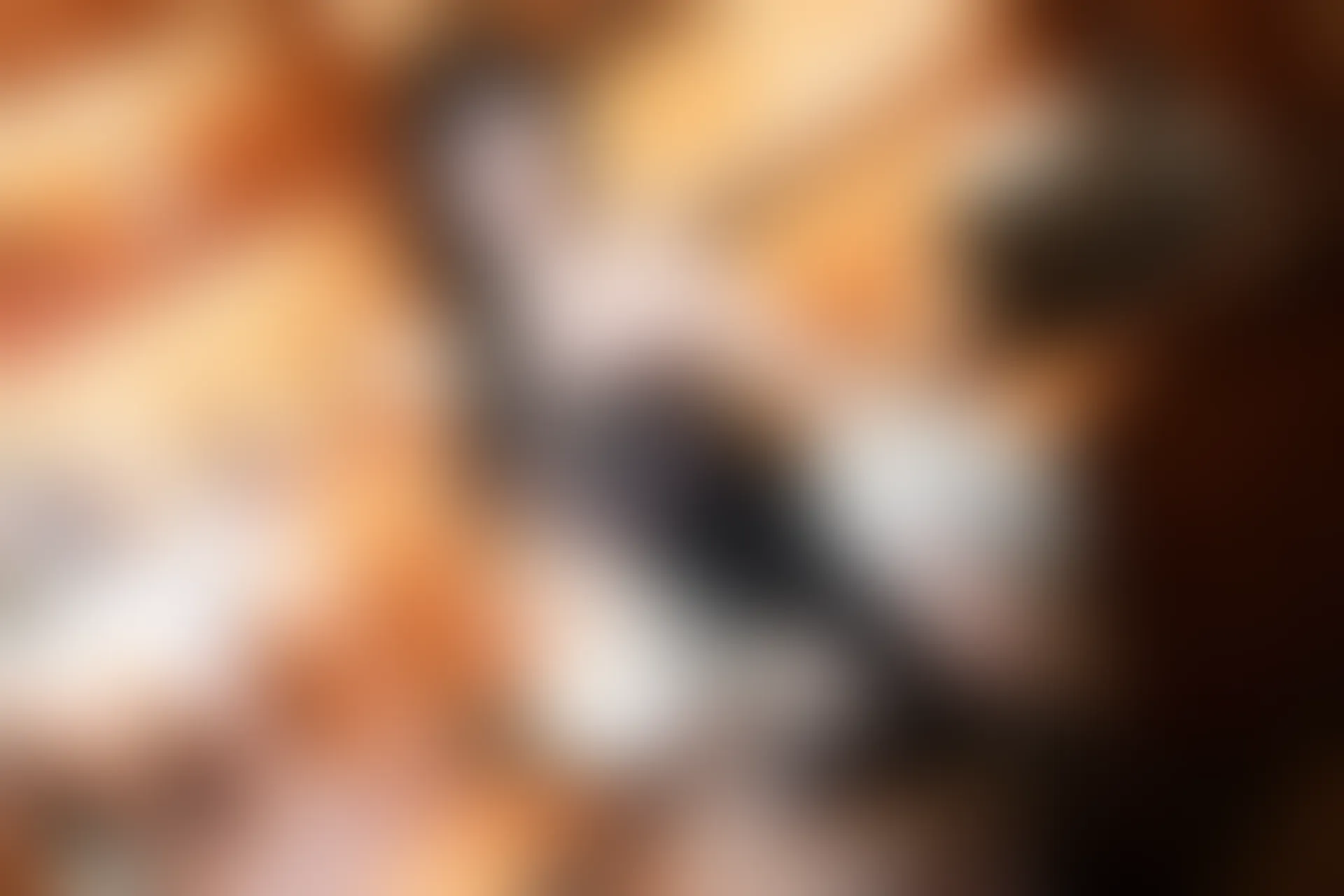 XIUREN秀人网 2024.03.01 NO.8169 杨晨晨Yome[90+1P／982MB]