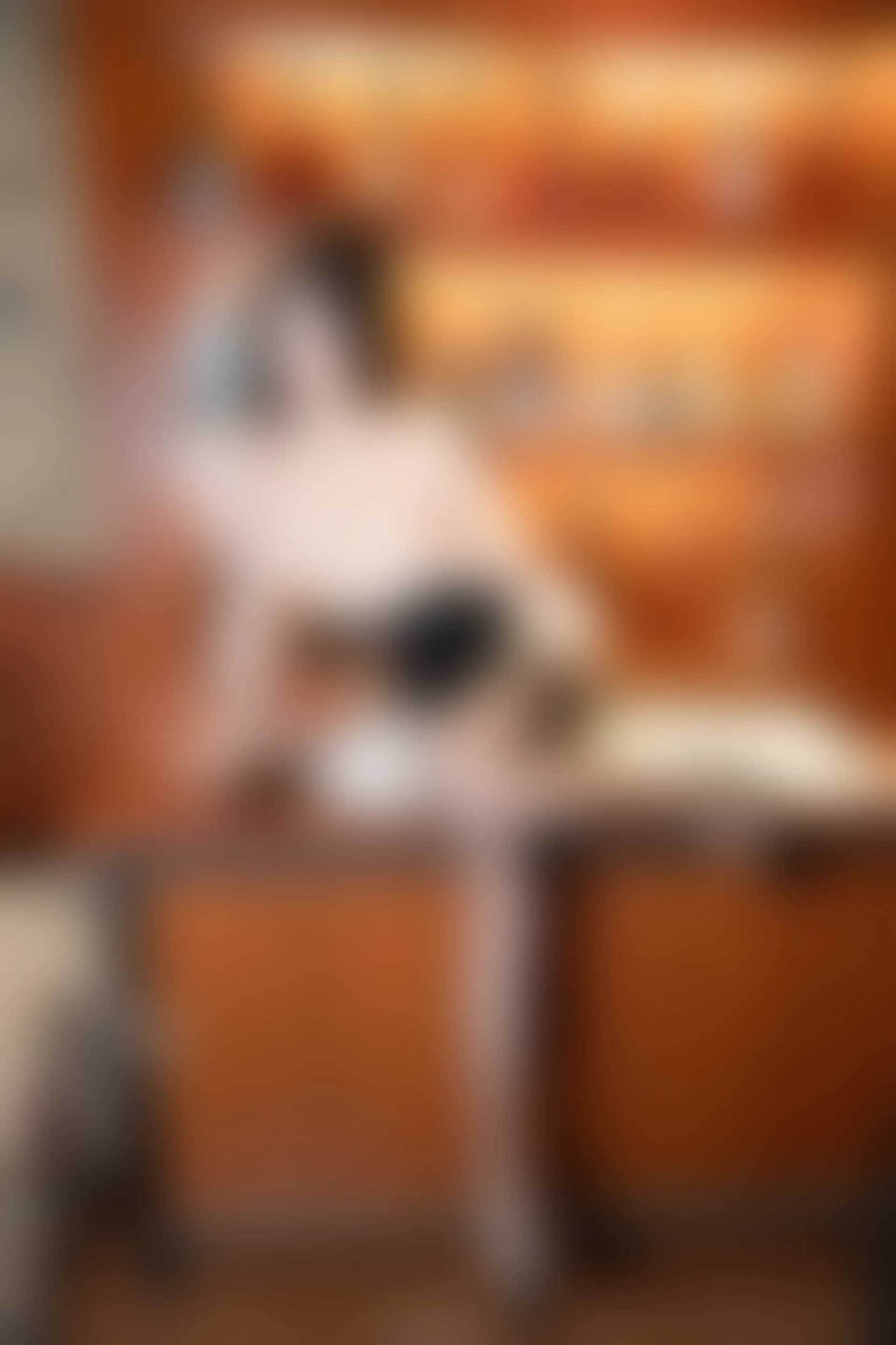 XIUREN秀人网 2024.03.01 NO.8169 杨晨晨Yome[90+1P／982MB]