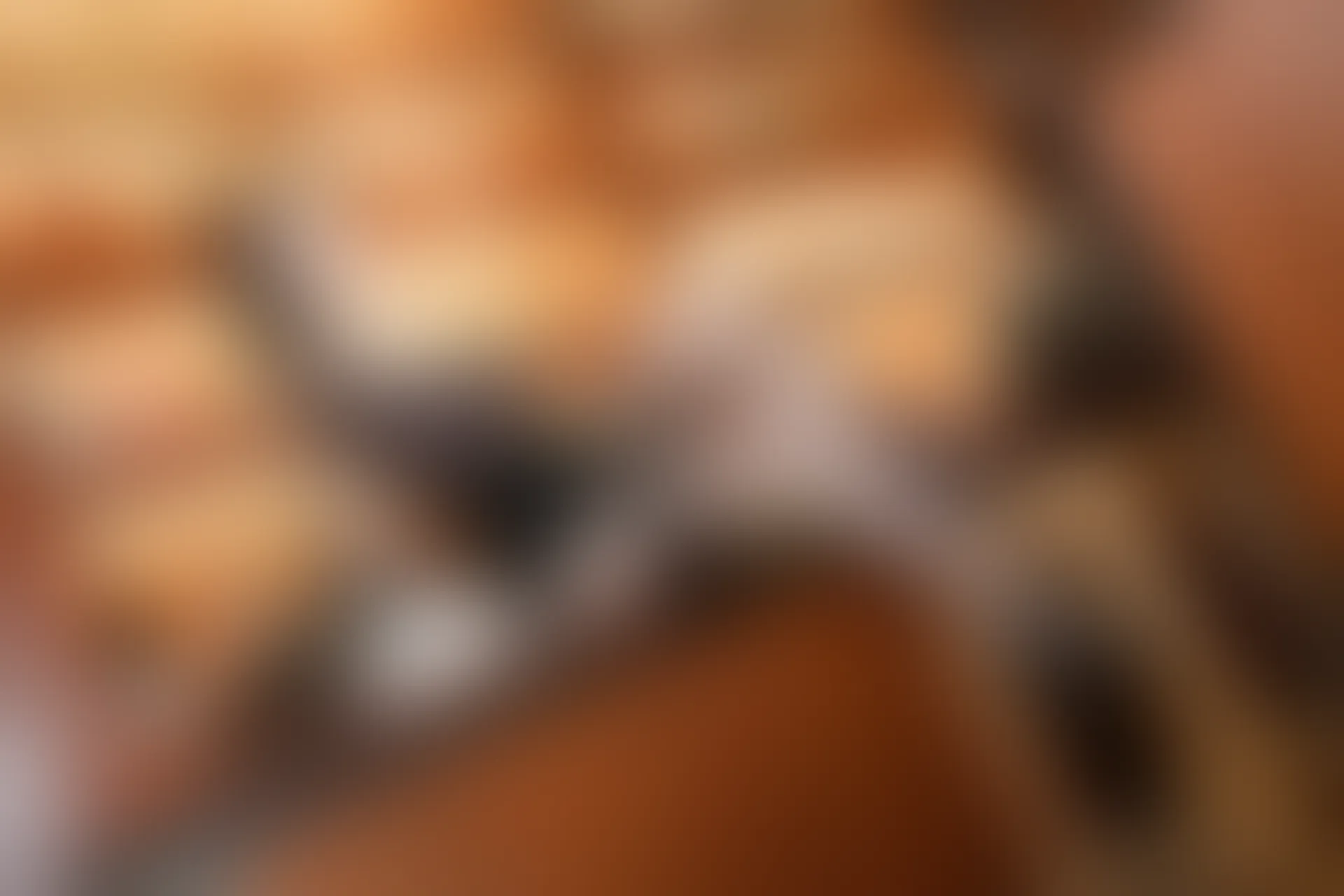 XIUREN秀人网 2024.03.01 NO.8169 杨晨晨Yome[90+1P／982MB]