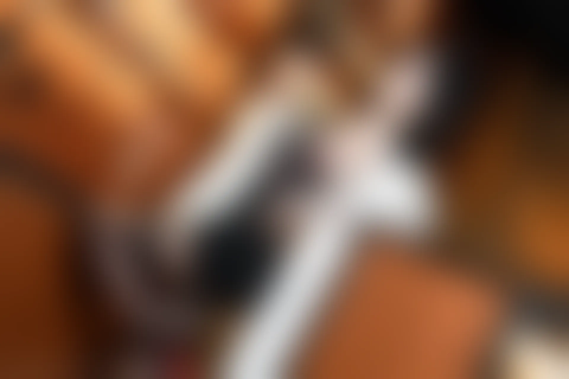 XIUREN秀人网 2024.03.01 NO.8169 杨晨晨Yome[90+1P／982MB]