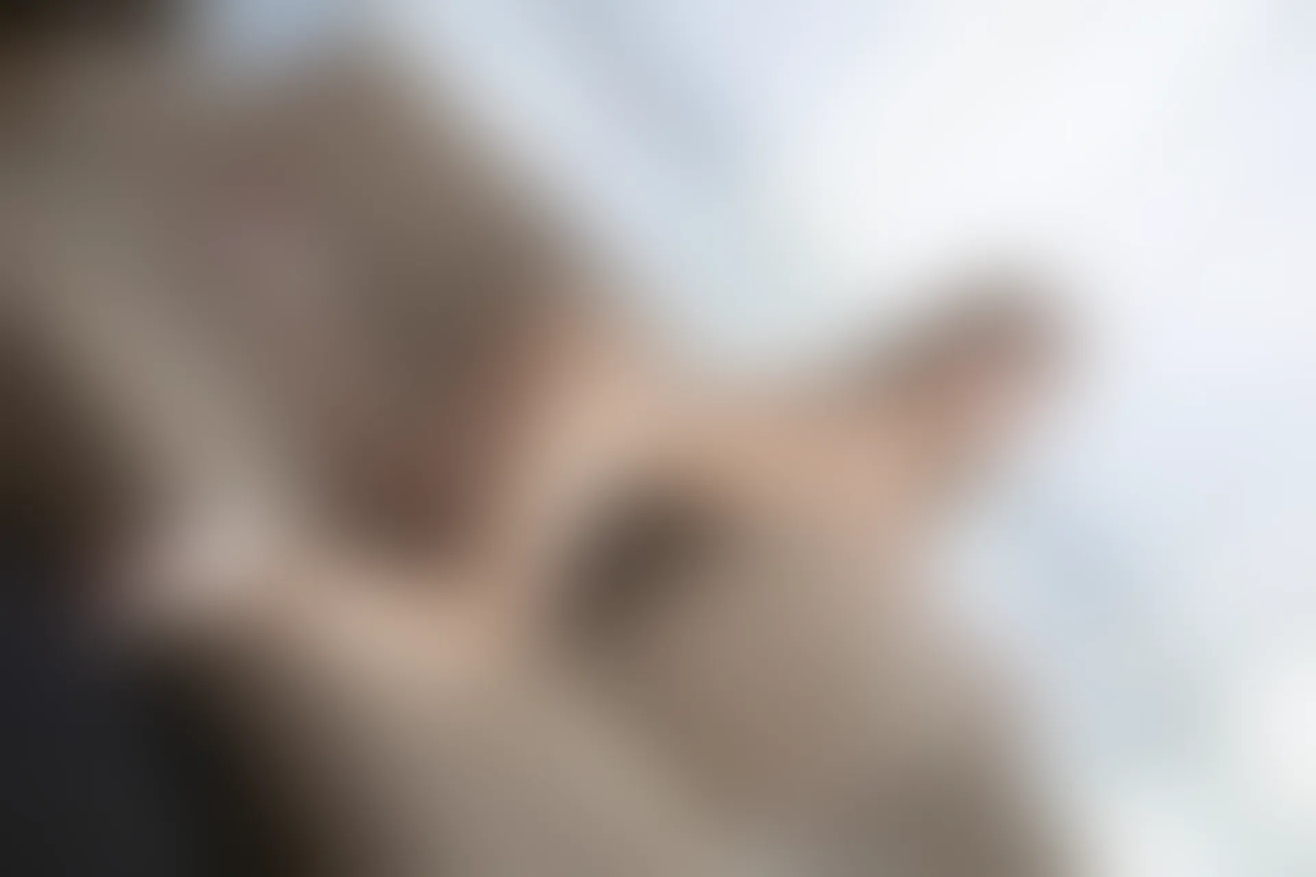 XIUREN秀人网 2024.01.17 NO.7972 沈青黛[80+1P／691MB]
