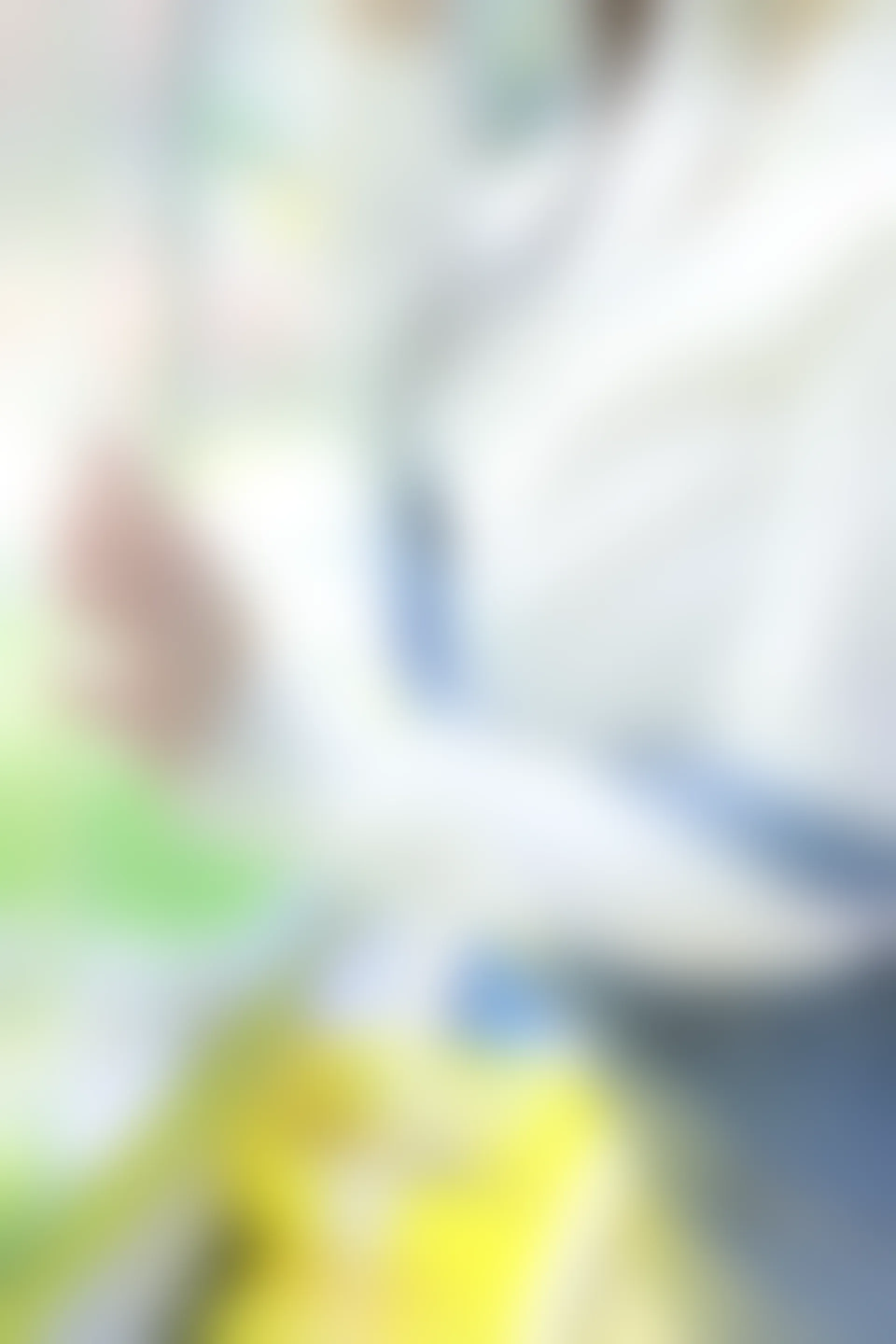 XIUREN秀人网 2024.02.07 NO.8087 小薯条nienie[81+1P／781MB]