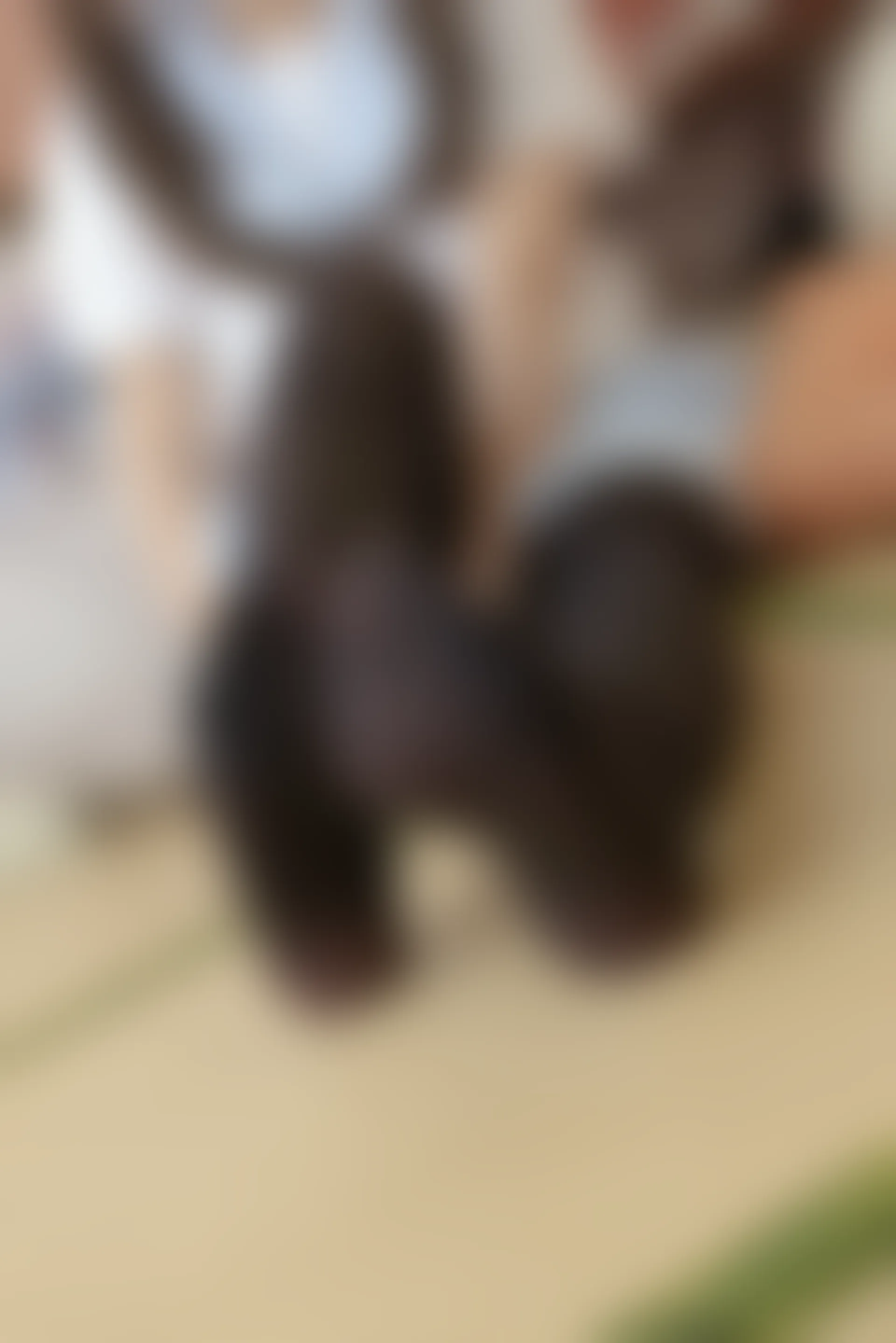 森萝财团 BETA-010 [61P-452M]美腿, 黑丝