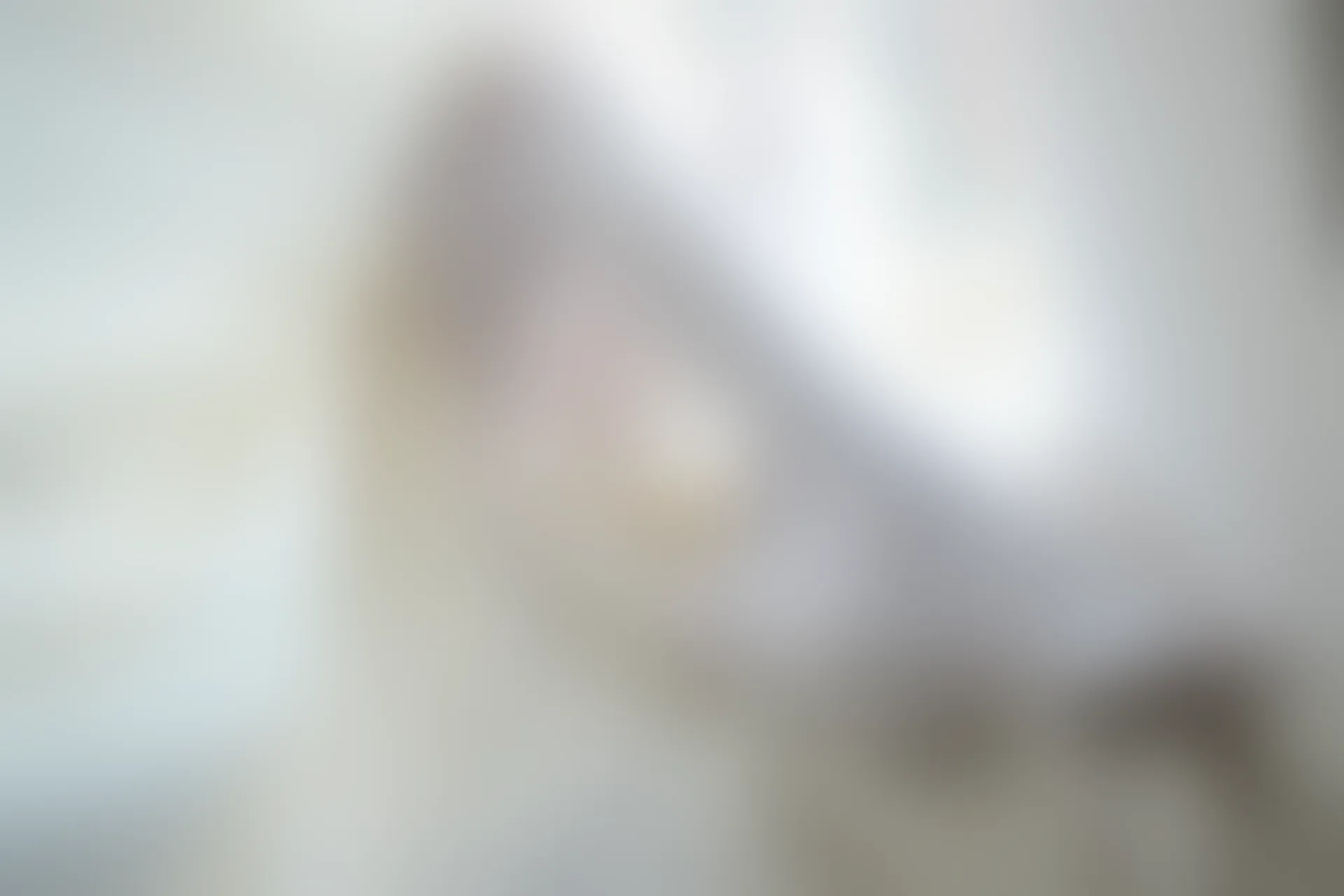 森萝财团 R15-018 [86P-475M]可爱, 森萝财团, 白丝, 美腿