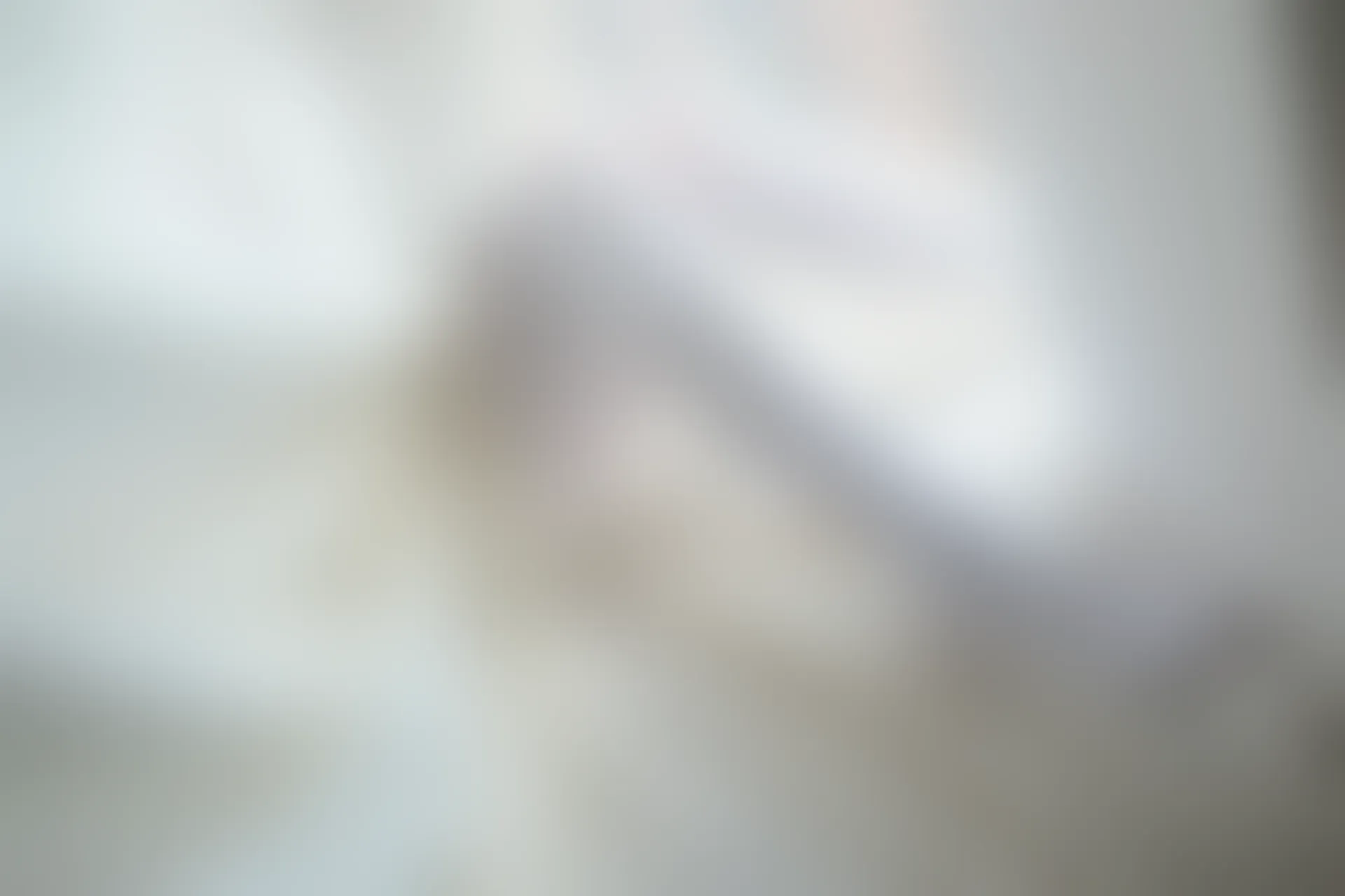 森萝财团 R15-018 [86P-475M]可爱, 森萝财团, 白丝, 美腿