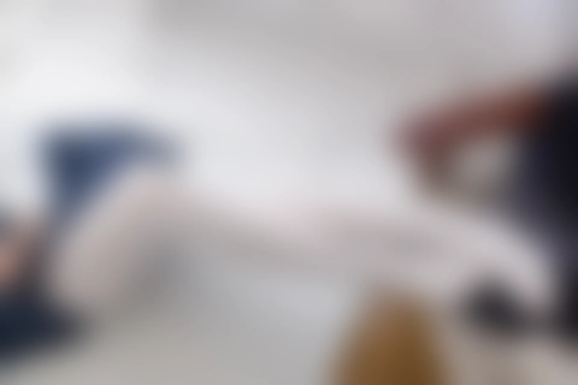 森萝财团 R15-047 [114P-571M]学生装, 森萝财团, 白丝, 美腿