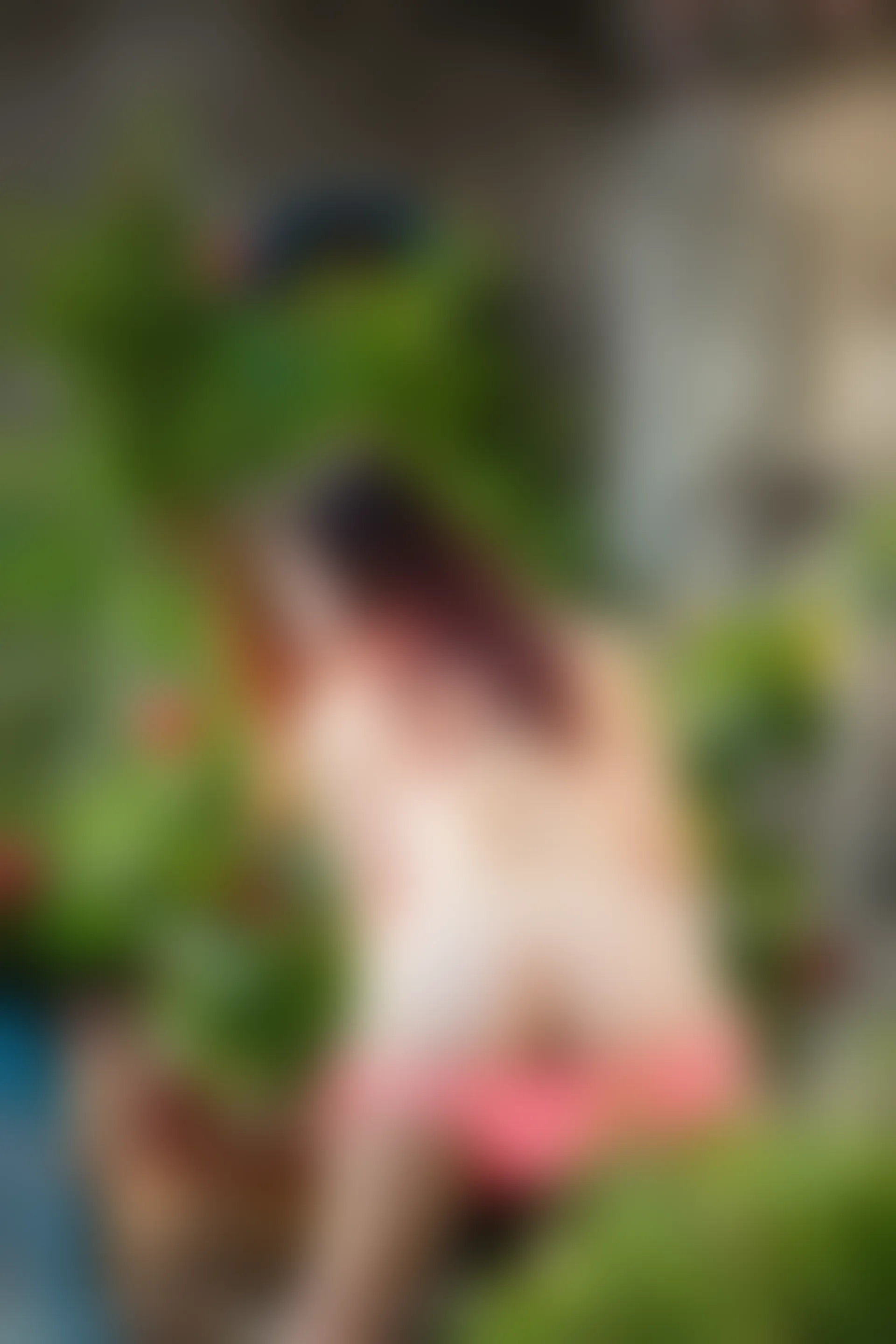 XiuRen秀人网 2018.02.05 No.924 西希白兔[49+1P153M]