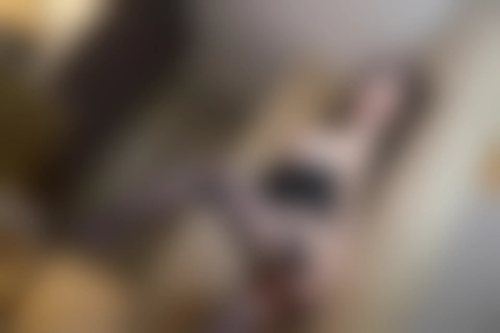 XiuRen秀人网 2022.01.19 No.4486 周于希Sally 性感美腿[81+1P 778MB]