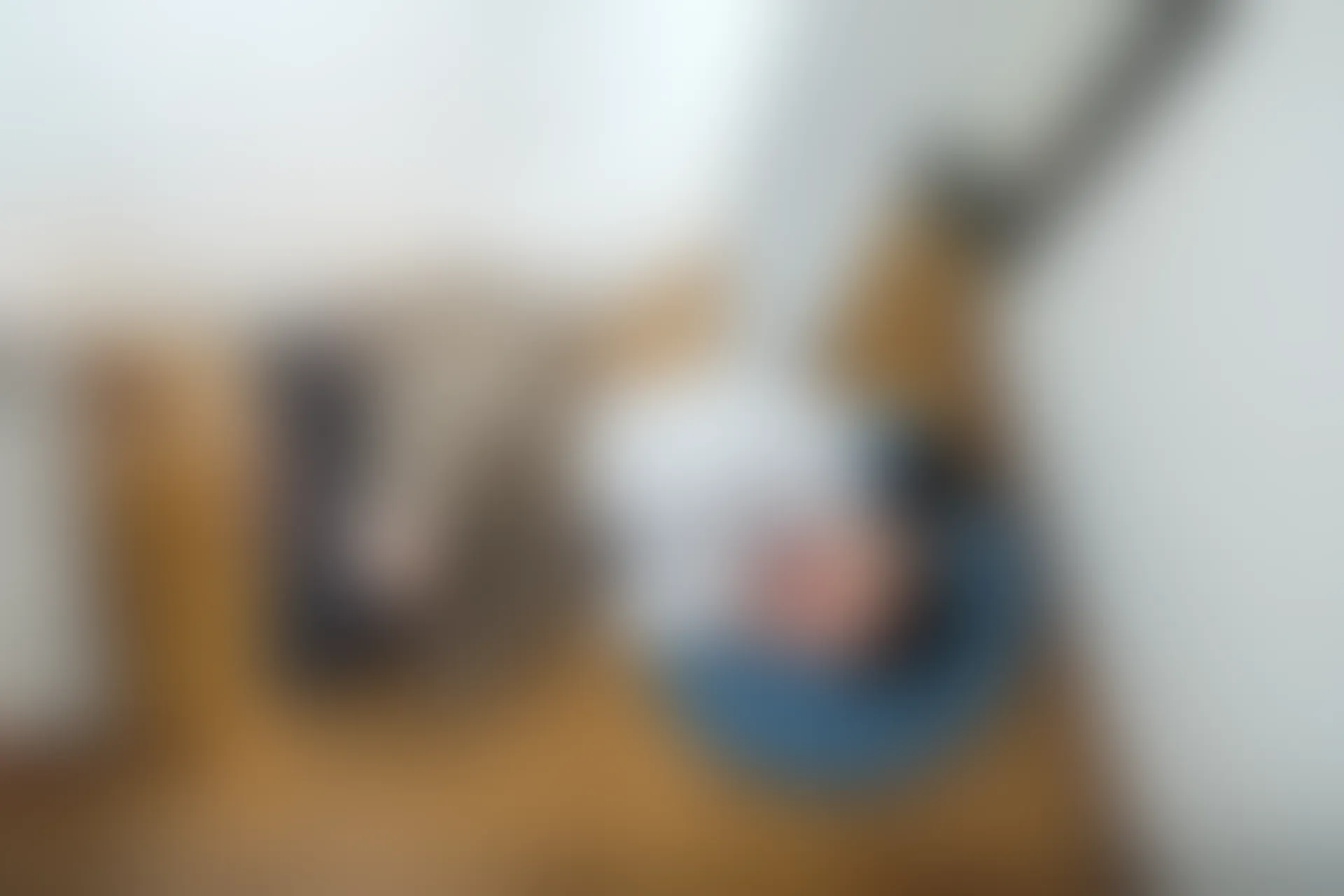 喵写真 R15-005 [80P1V-969M]可爱, 喵写真, 学生装, 美腿, 黑丝