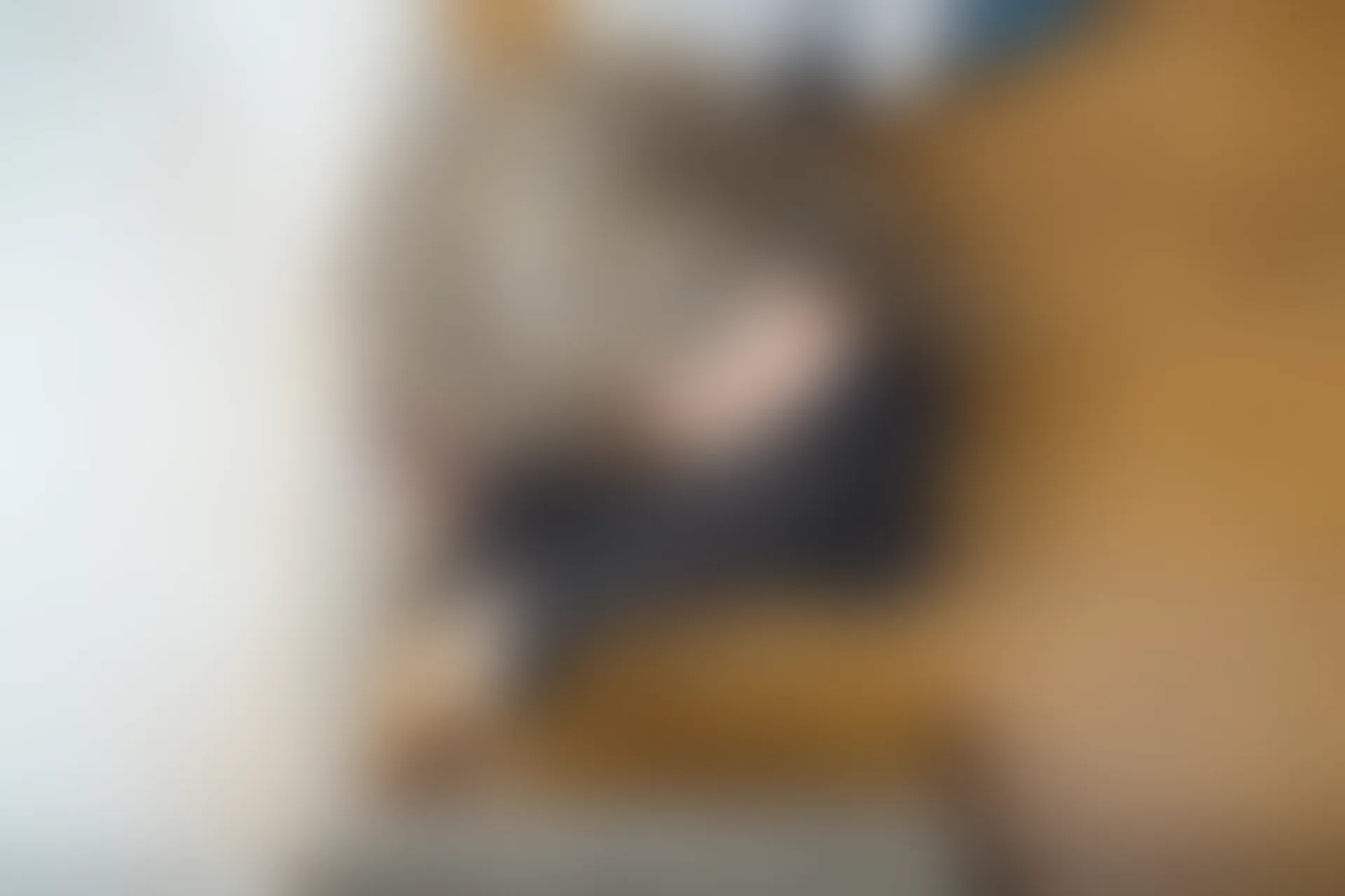 喵写真 R15-005 [80P1V-969M]可爱, 喵写真, 学生装, 美腿, 黑丝