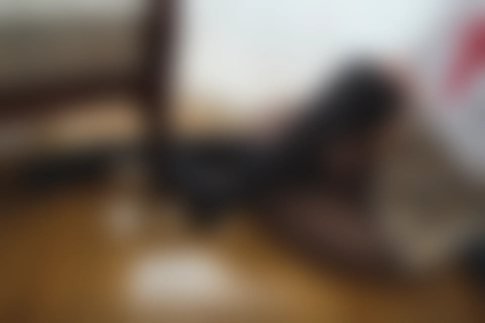 喵写真 R15-005 [80P1V-969M]可爱, 喵写真, 学生装, 美腿, 黑丝
