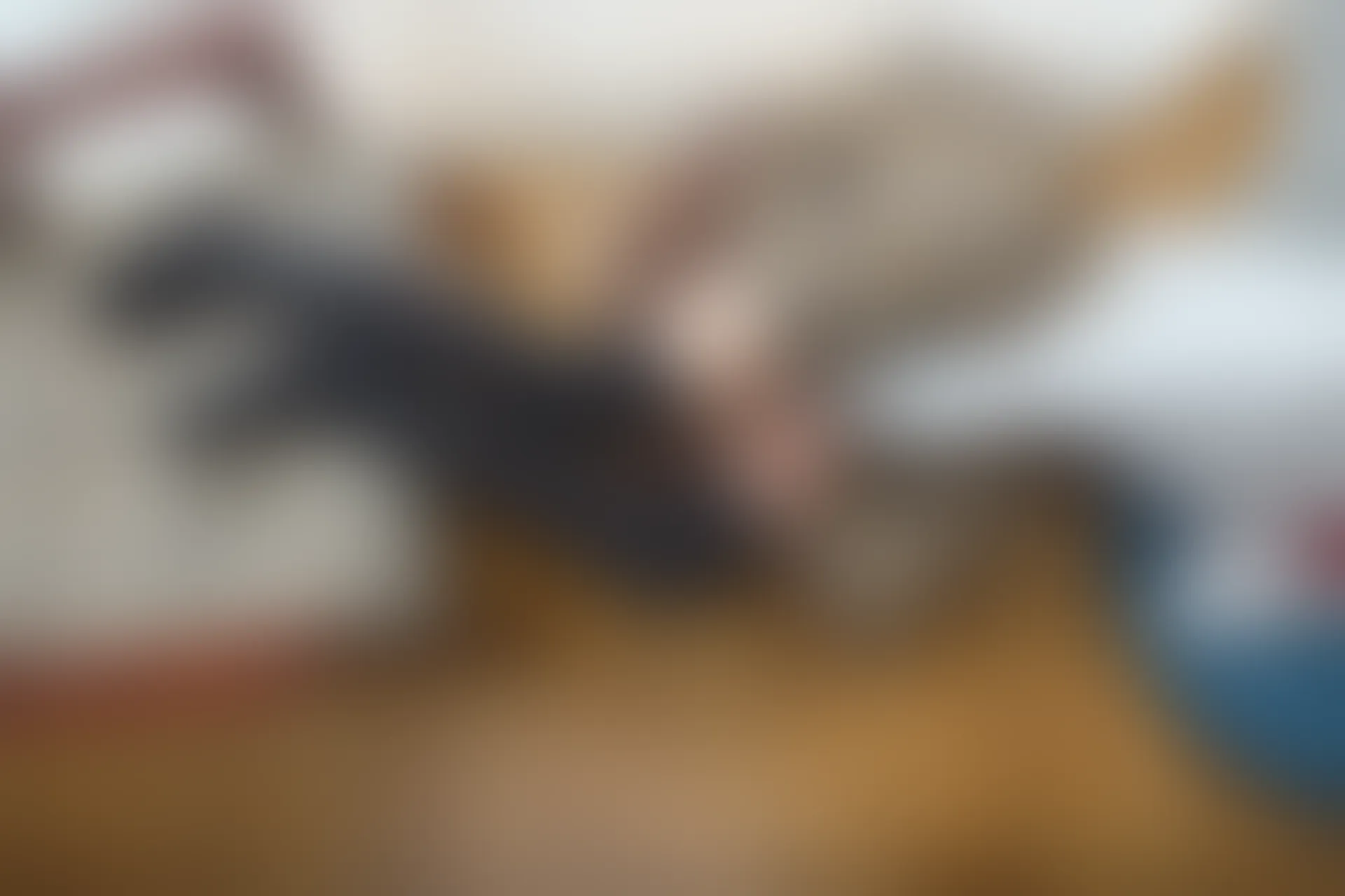 喵写真 R15-005 [80P1V-969M]可爱, 喵写真, 学生装, 美腿, 黑丝