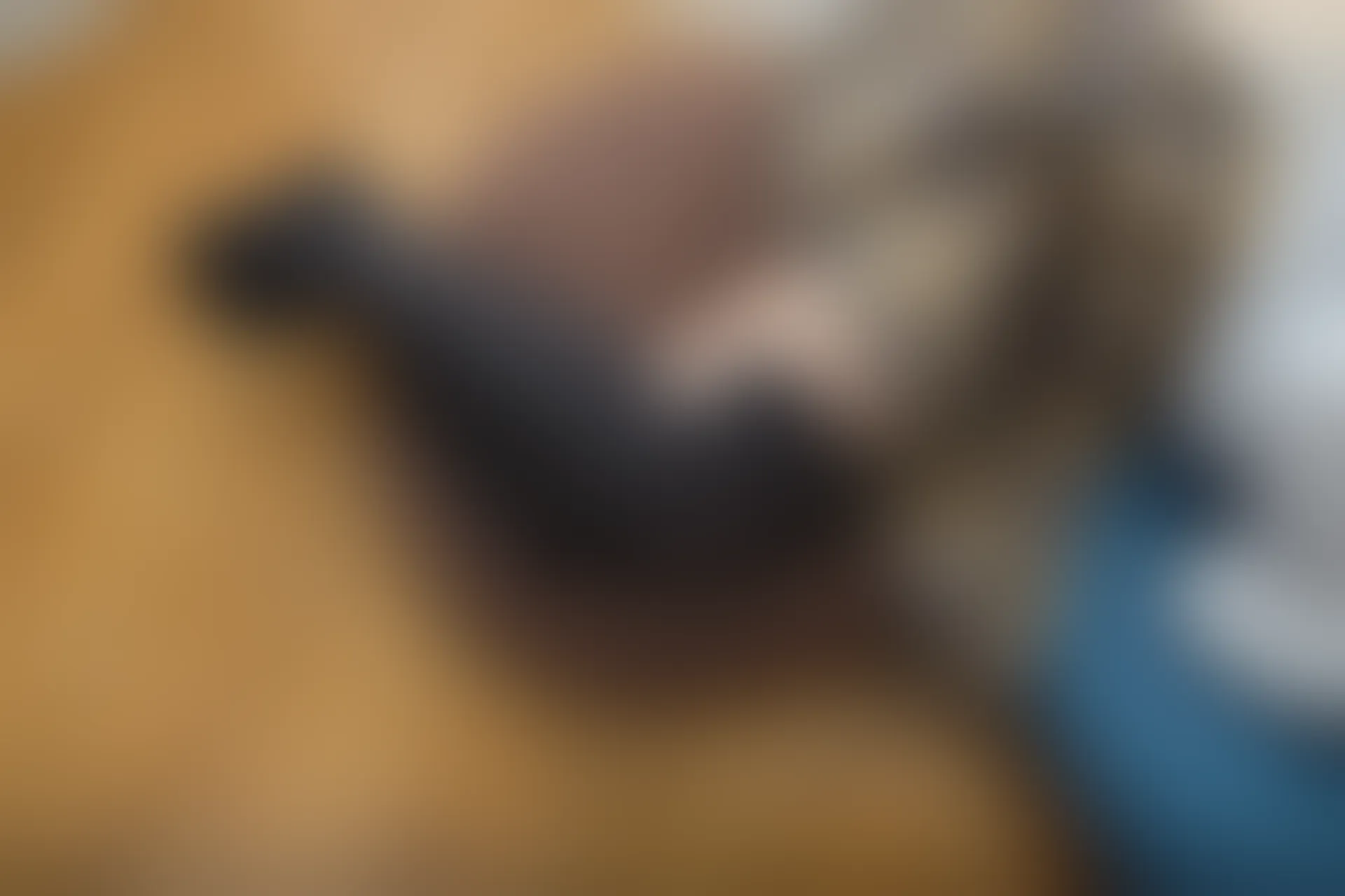 喵写真 R15-005 [80P1V-969M]可爱, 喵写真, 学生装, 美腿, 黑丝