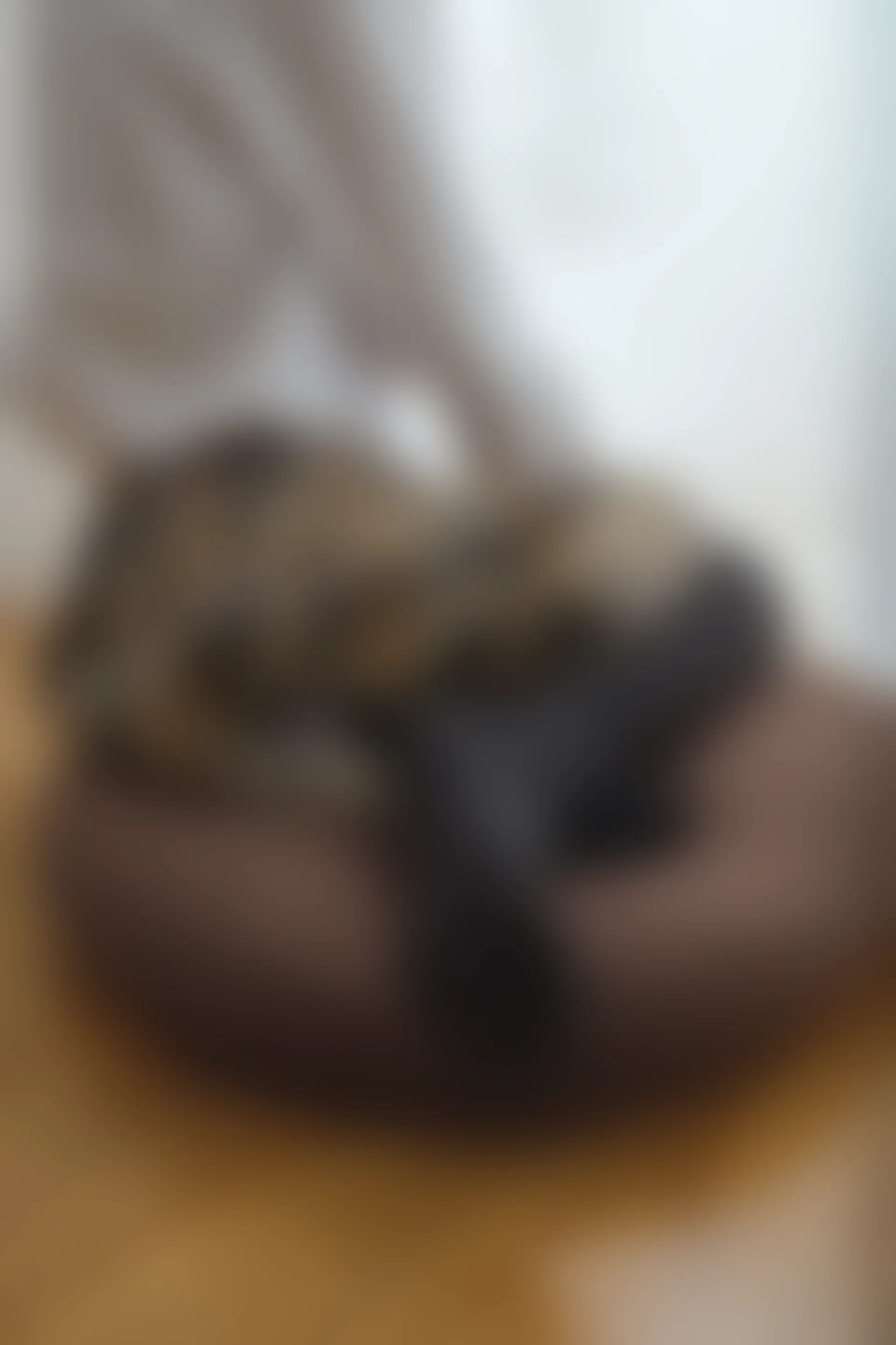 喵写真 R15-005 [80P1V-969M]可爱, 喵写真, 学生装, 美腿, 黑丝