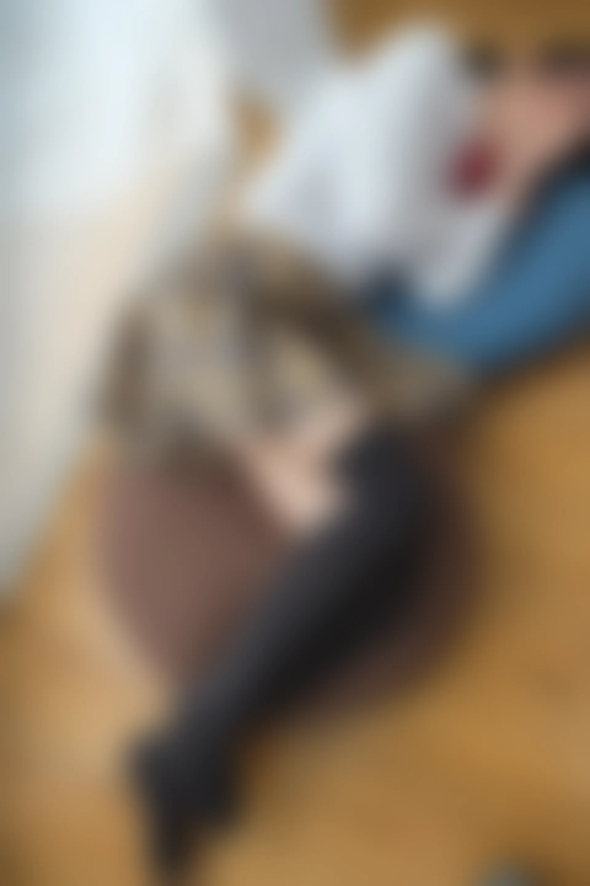 喵写真 R15-005 [80P1V-969M]可爱, 喵写真, 学生装, 美腿, 黑丝