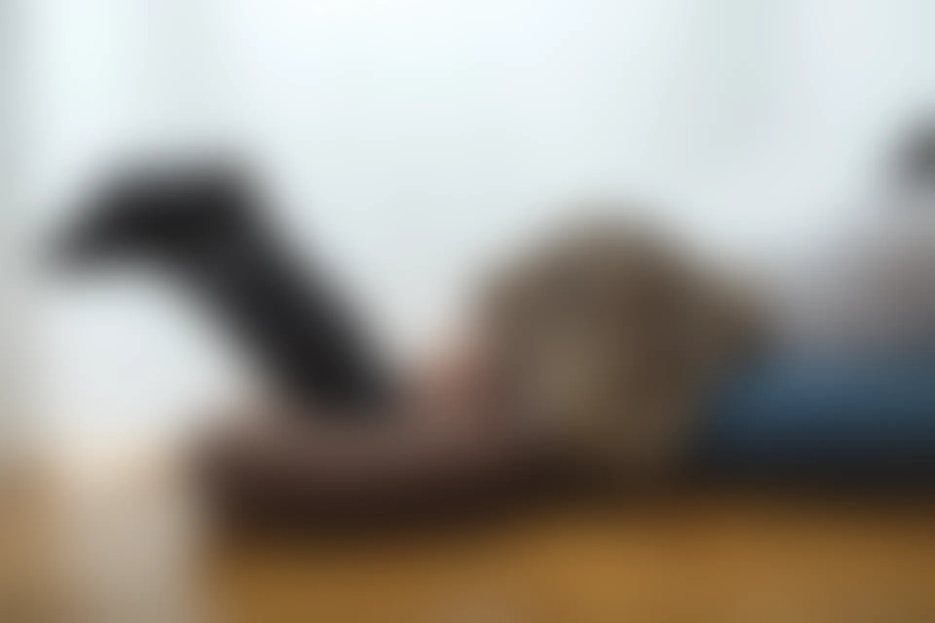 喵写真 R15-005 [80P1V-969M]可爱, 喵写真, 学生装, 美腿, 黑丝