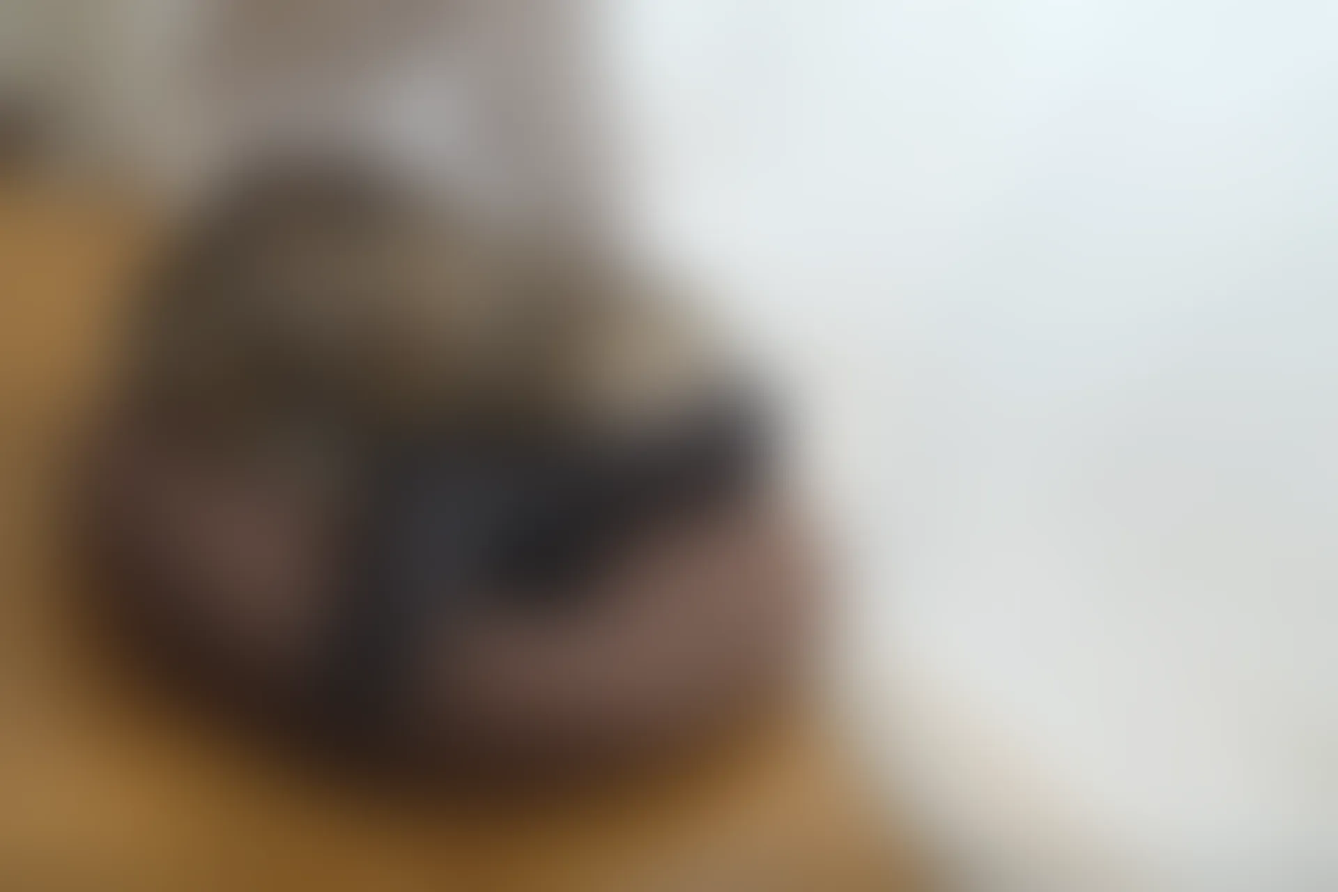 喵写真 R15-005 [80P1V-969M]可爱, 喵写真, 学生装, 美腿, 黑丝