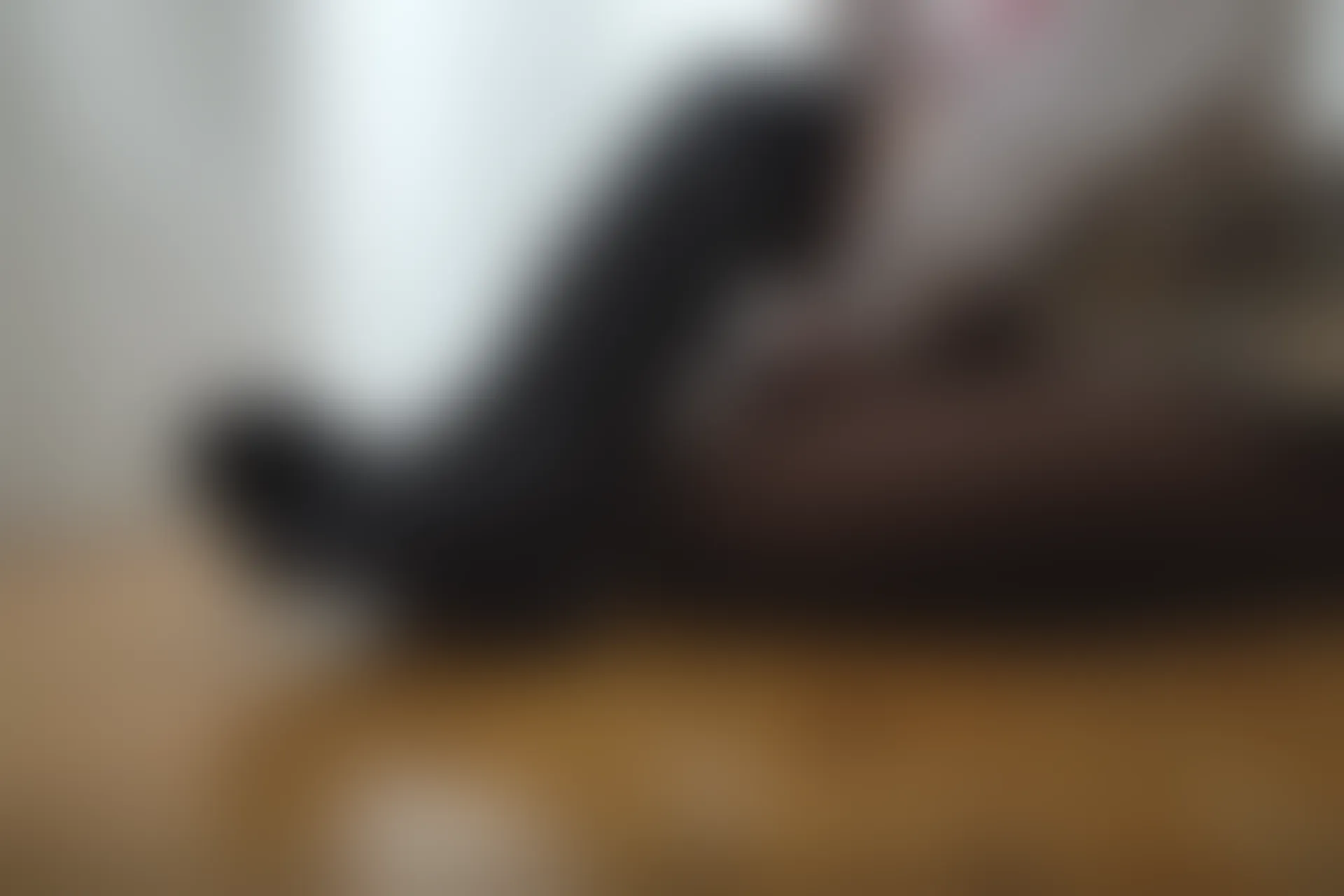 喵写真 R15-005 [80P1V-969M]可爱, 喵写真, 学生装, 美腿, 黑丝