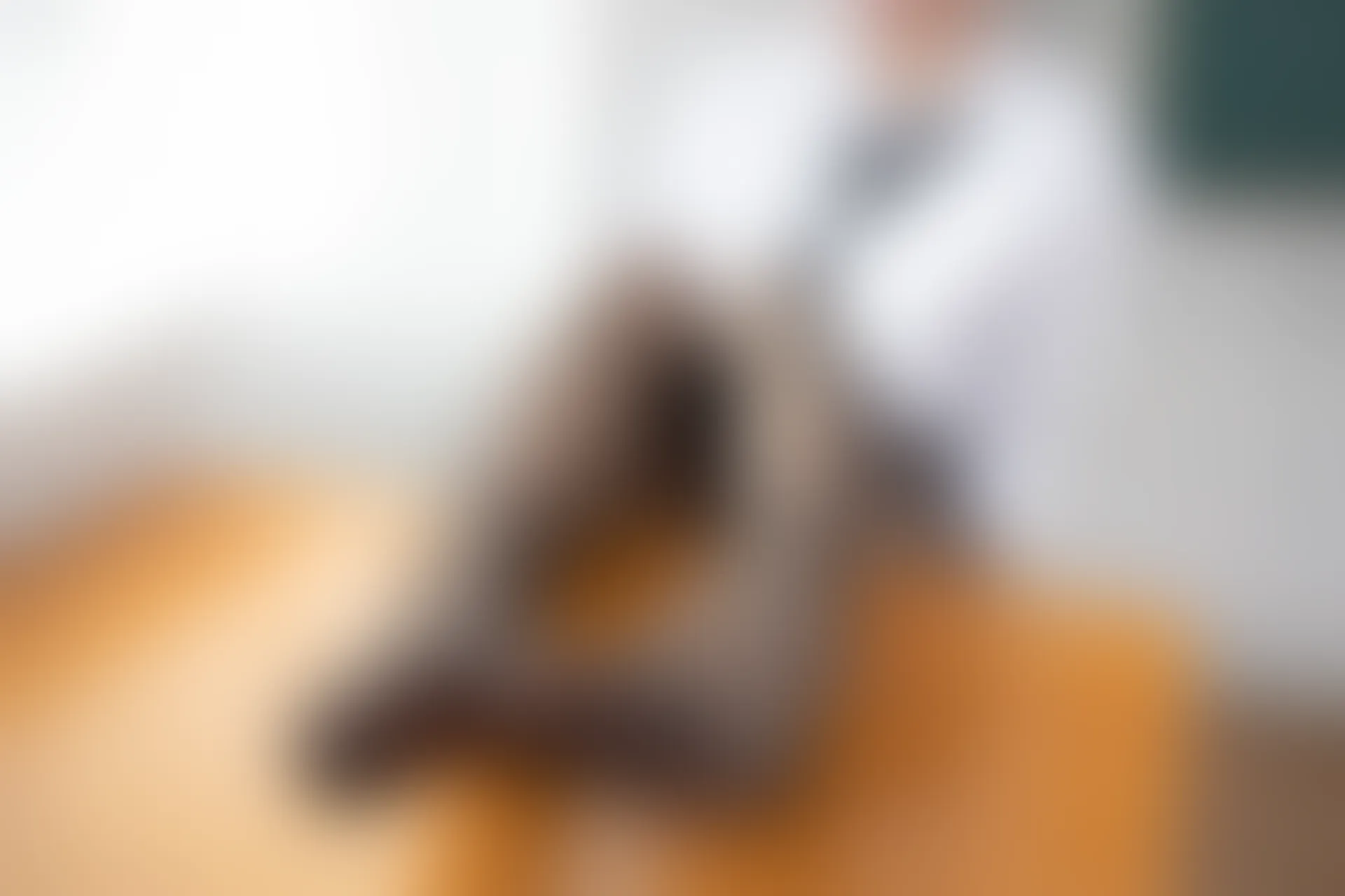 JKFUN-011 [99P1V-2.97G]JKFUN, 制服, 森萝财团, 美腿, 黑丝