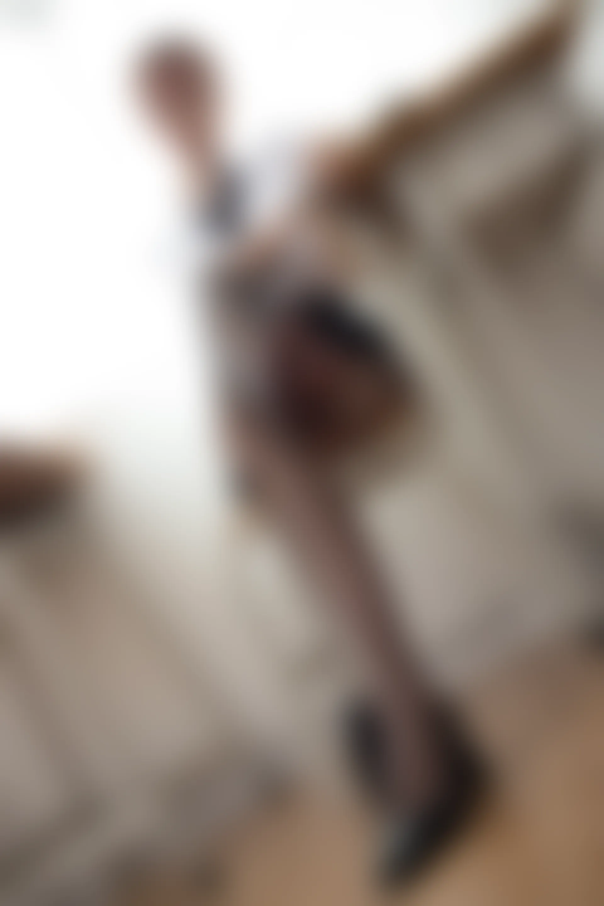 JKFUN-011 [99P1V-2.97G]JKFUN, 制服, 森萝财团, 美腿, 黑丝
