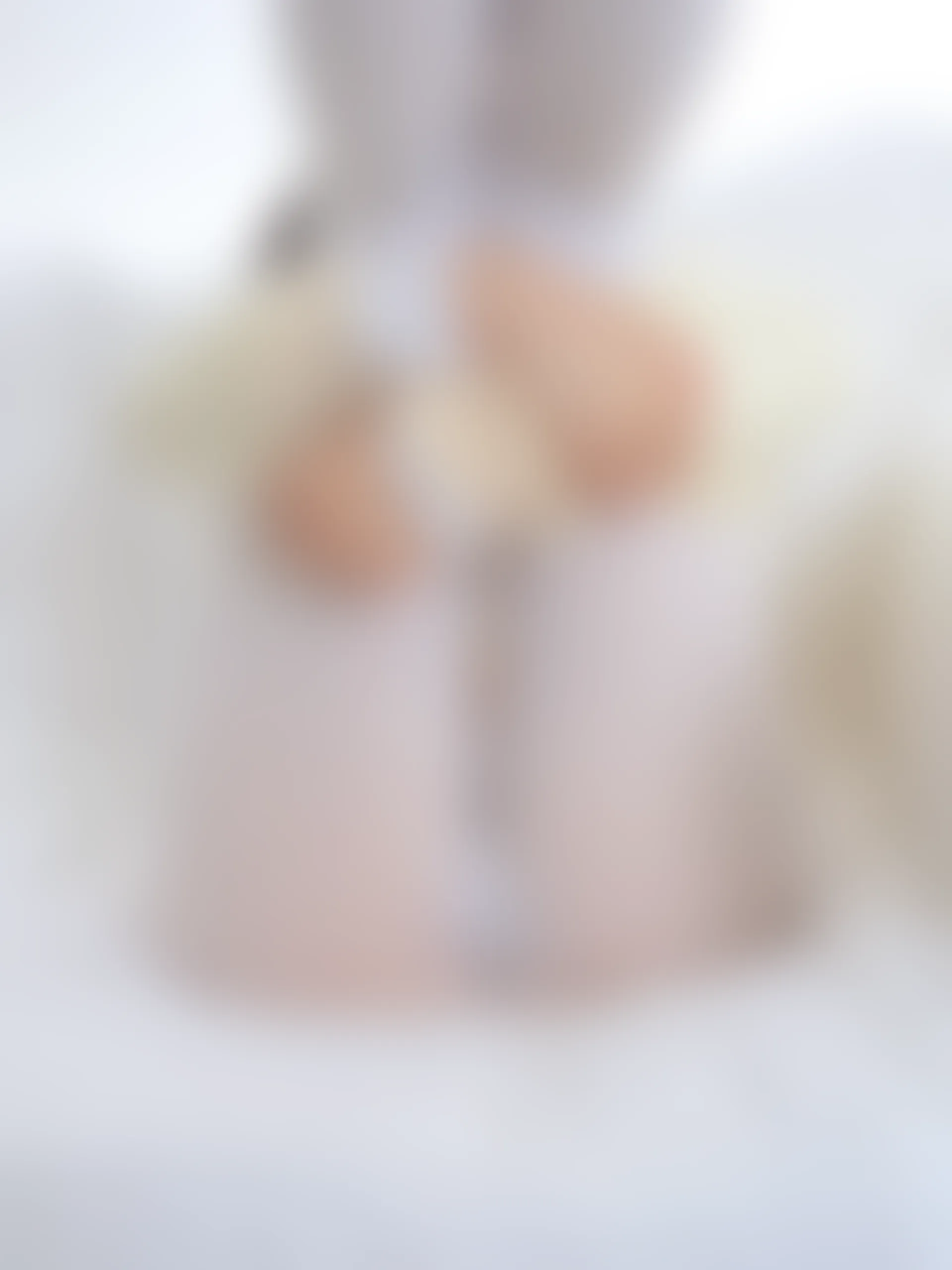 森萝财团 雨云-04E 4K 白丝双马尾卫衣+女仆装 [108P1V-6.64GB]