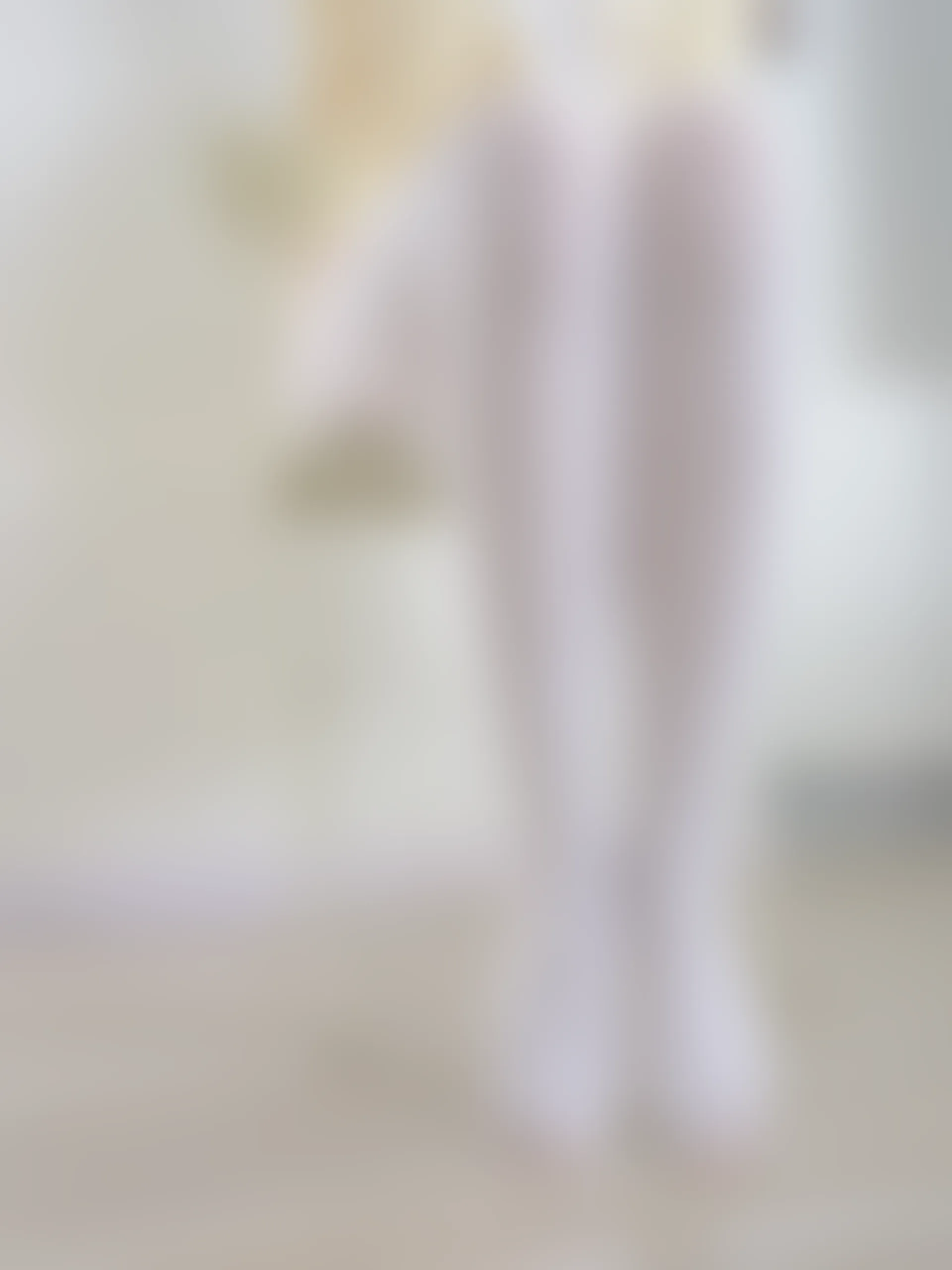 森萝财团 雨云-04E 4K 白丝双马尾卫衣+女仆装 [108P1V-6.64GB]
