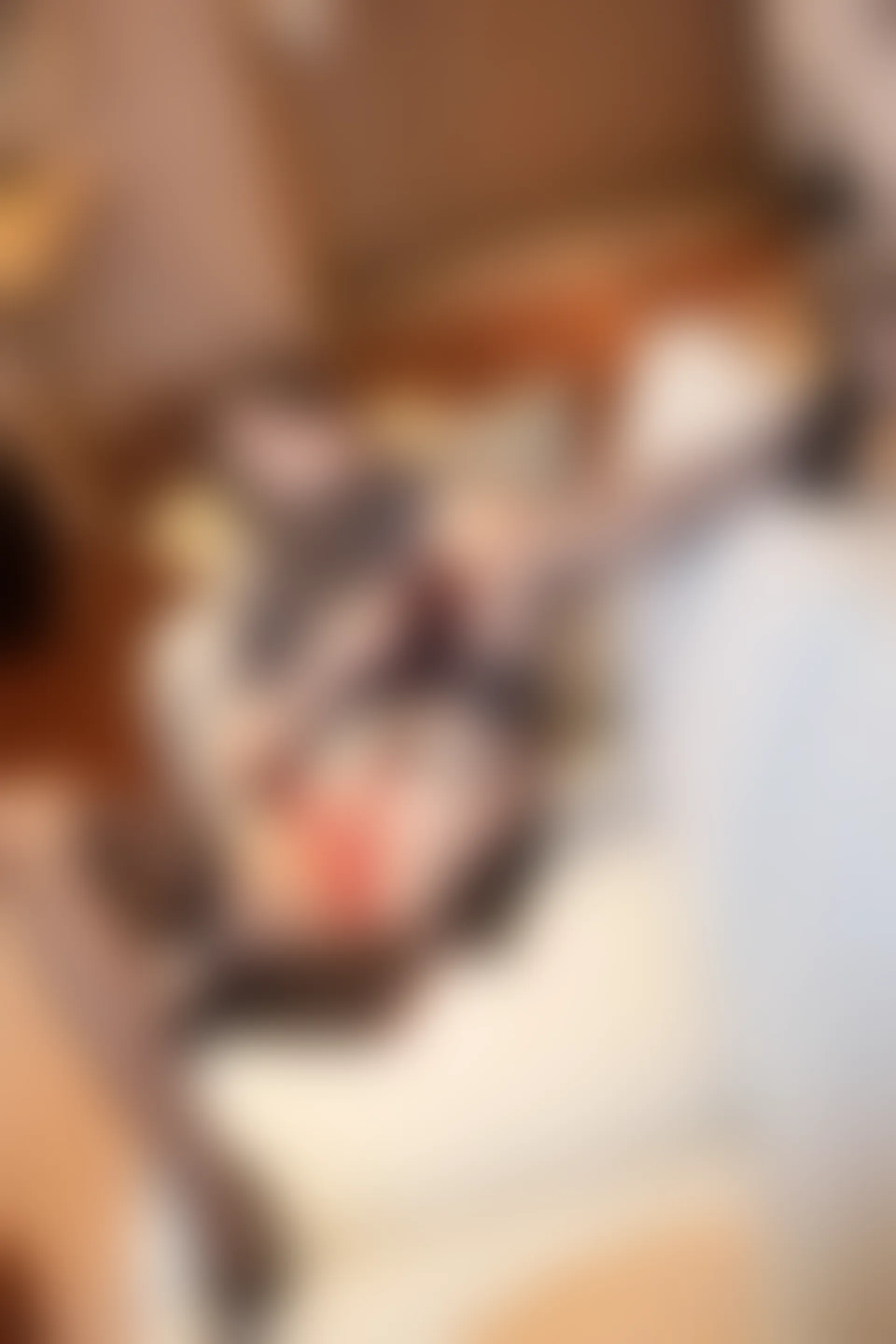 XiuRen秀人网 2022.02.15 No.4587 杨晨晨Yome 黑丝美腿[75+1P 629MB]