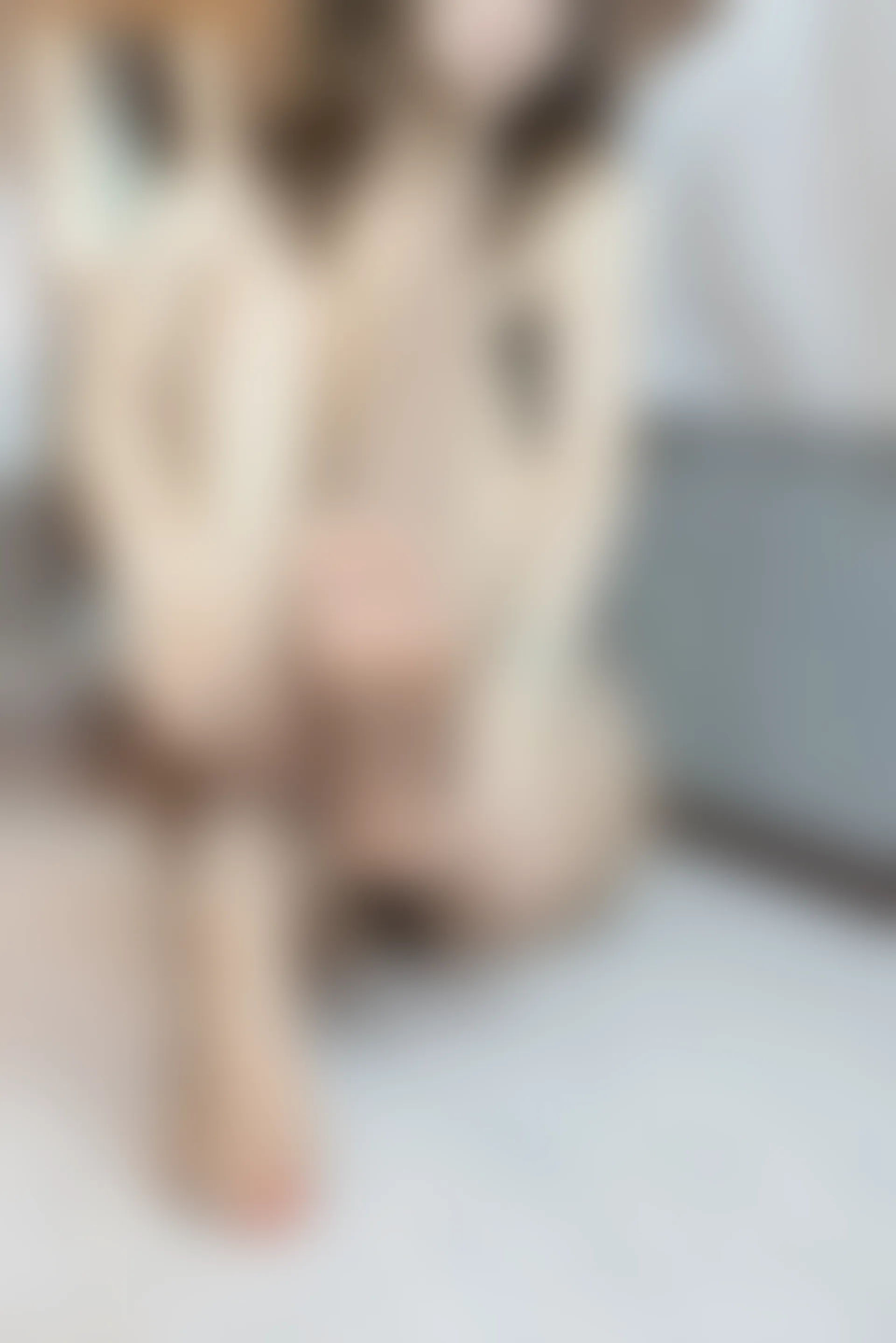 XiuRen秀人网 2021.10.21 No.4094 文芮jeninfer[44+1P／446MB]