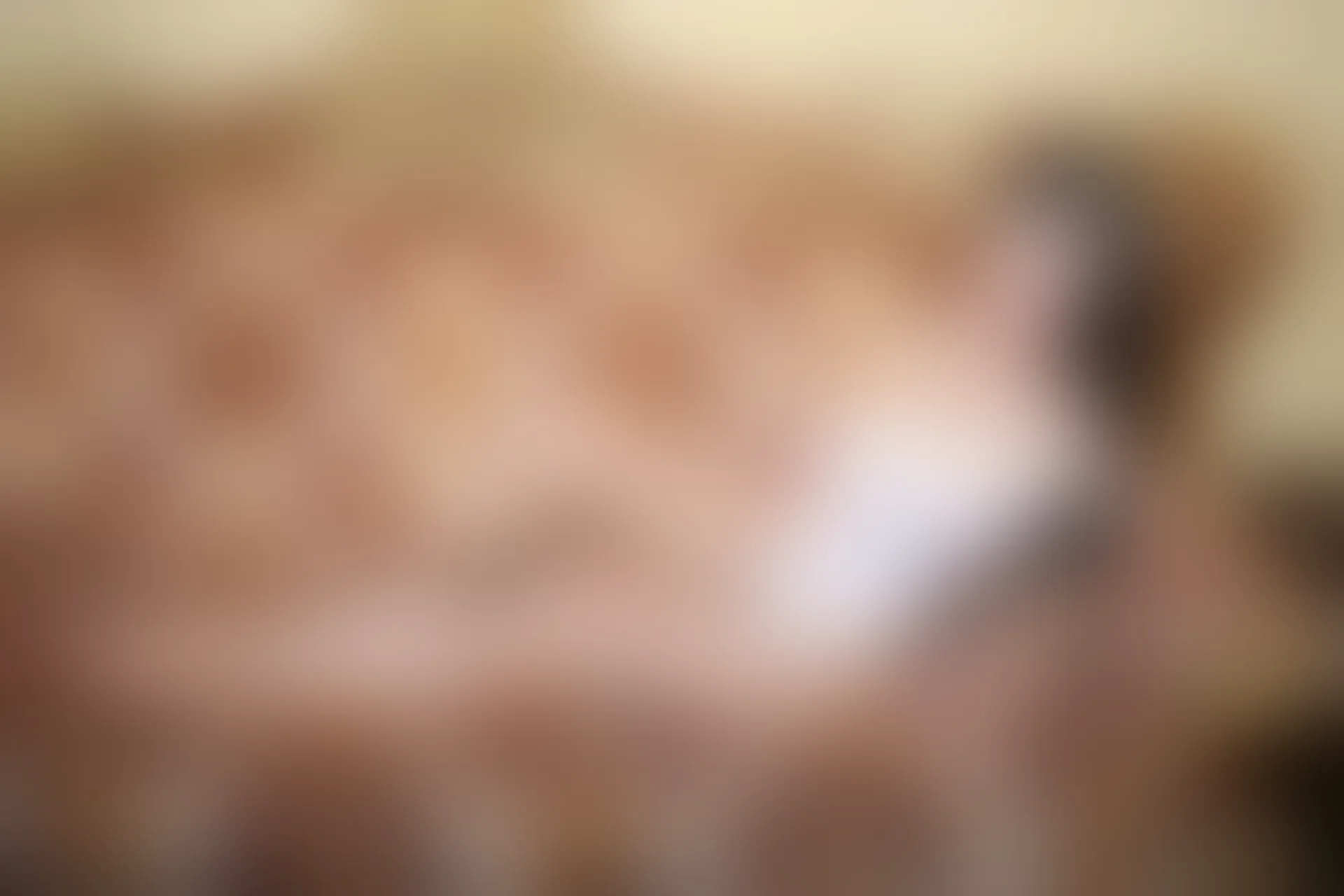 XiuRen秀人网 2015.12.01 No.427 嘉嘉Tiffany